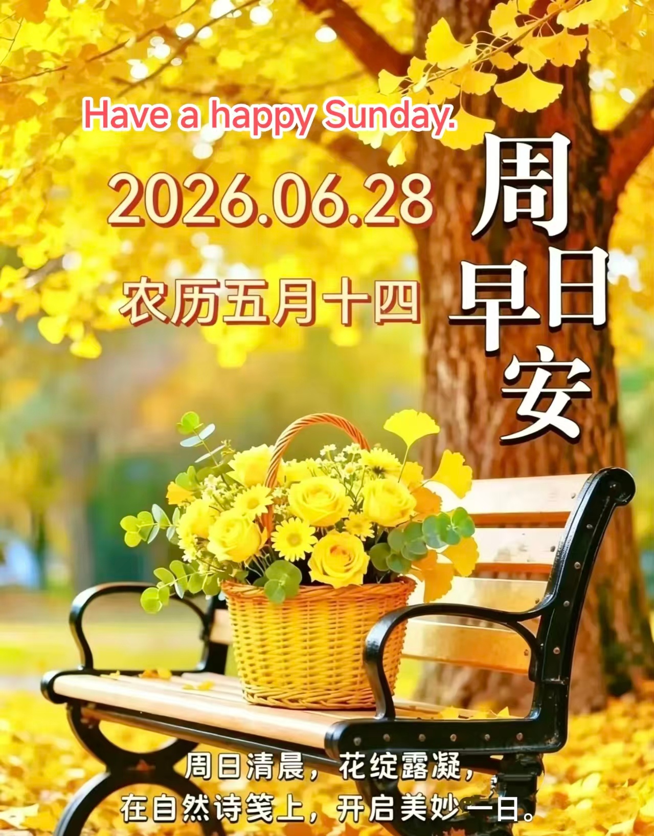 💝🎸心宽愁事少🎺💖🌻 ²⁰²⁶/₀₆.28. 五月十四🏡☀️周日愉快