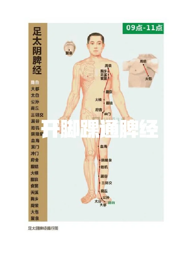 开脚踝通脾经