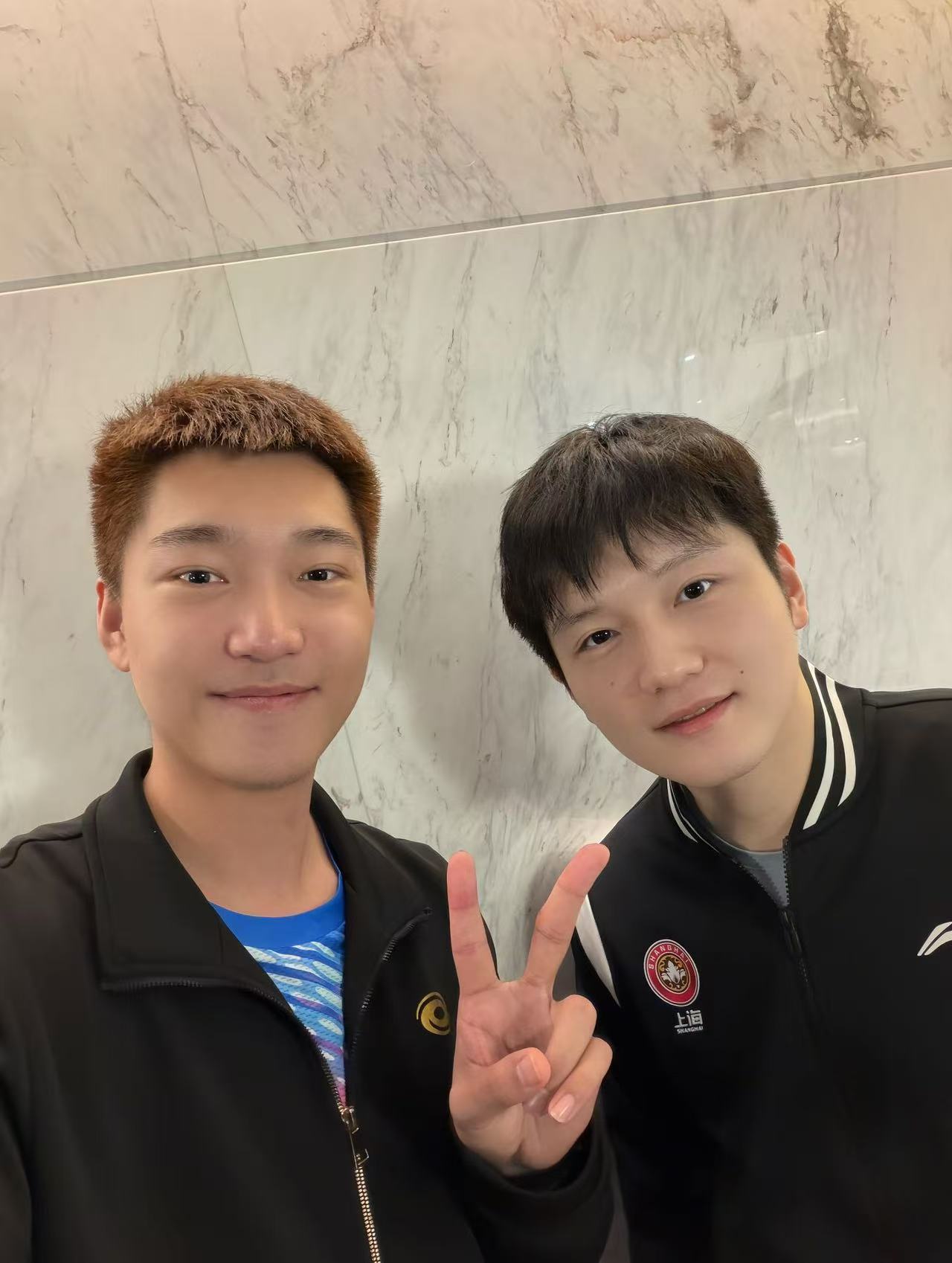 被高杨的认可戳到了！樊振东的榜样力量，从不是单一的成绩耀眼，而是他始终保持对乒乓