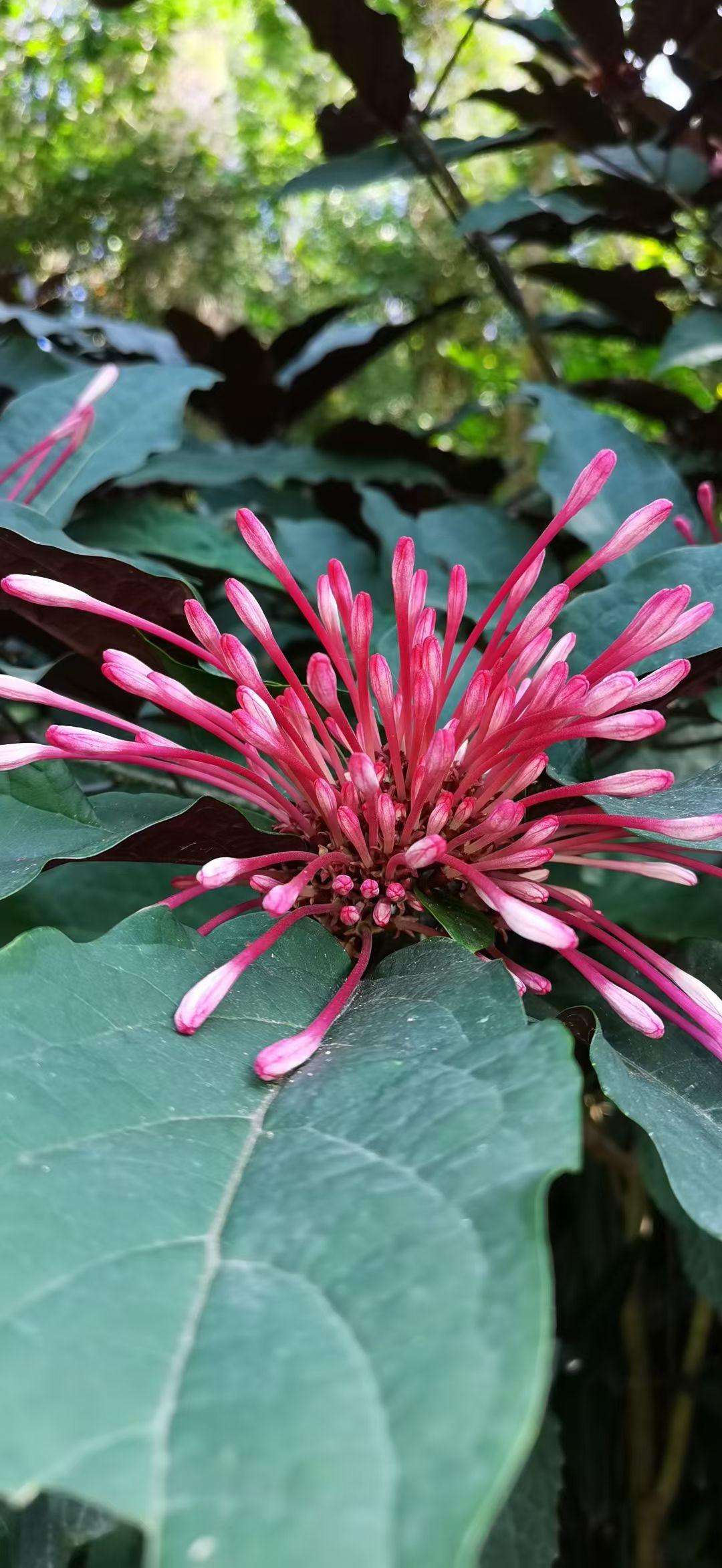 很多人一辈子都在追求大富大贵，以为有钱有势就是最好的生活。可到最后才明白，一个家