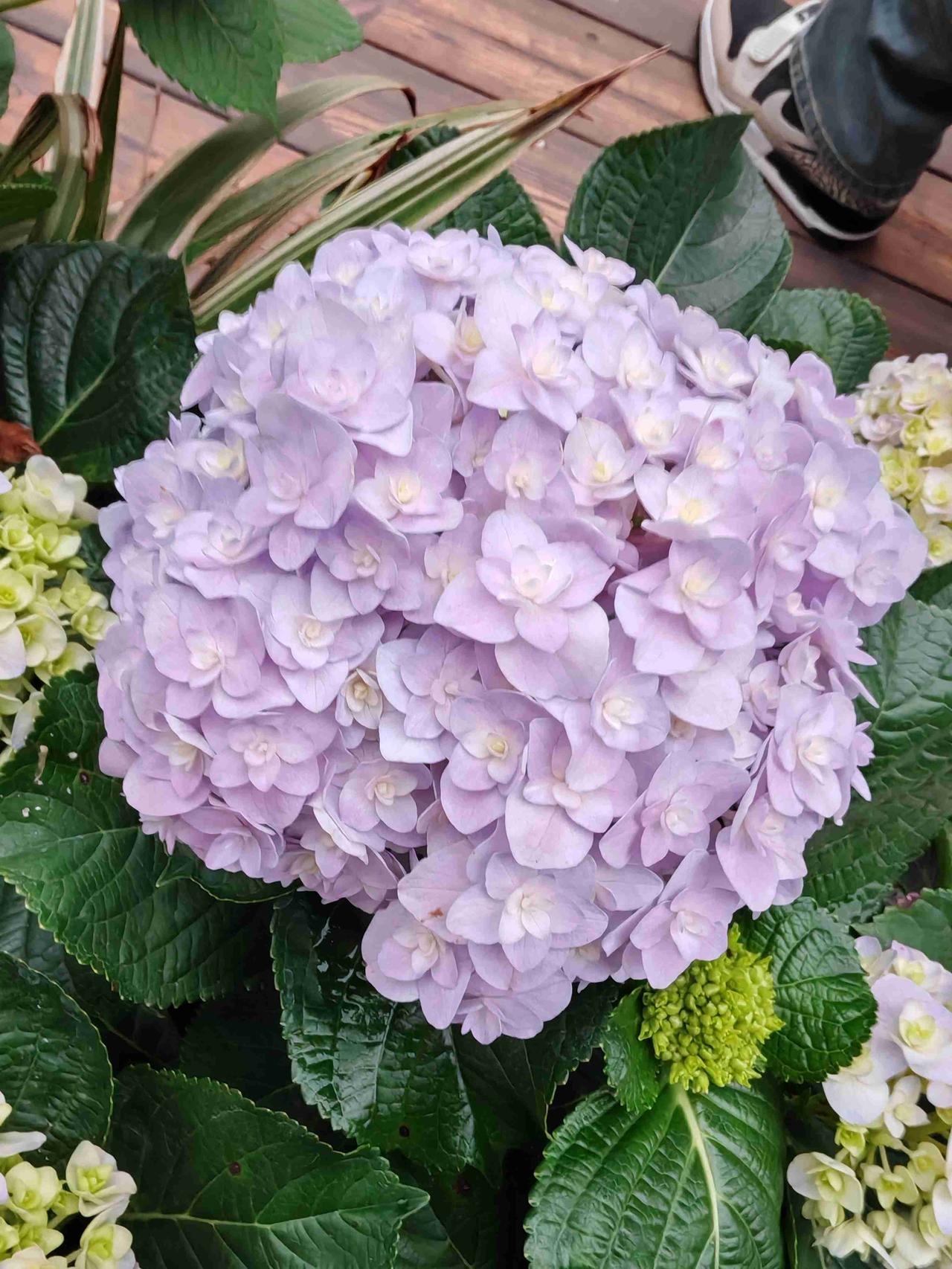 我的今日状态：😁轻松愉快
我这里的天气：🌤️多云