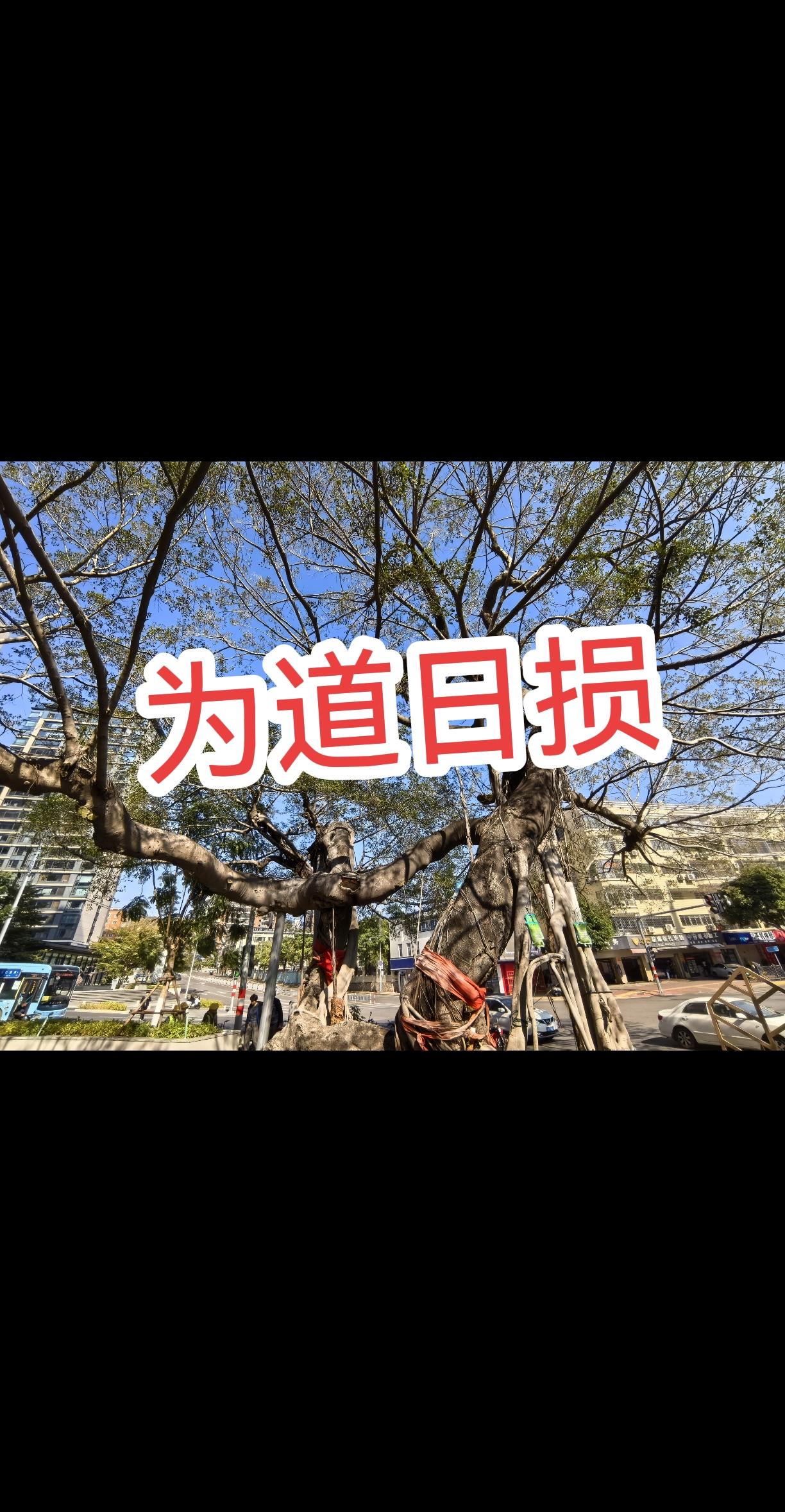 《道德经》有言：“为学日益，为道日损。损之又损，以至于无为，无为而无不为。”
投