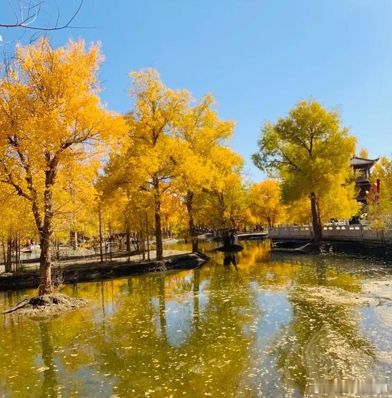 心里话          与其追着答案跑断腿，不如坐等时光给“惊喜”。有些事，现