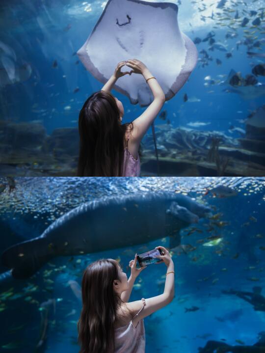 长大了一定要带自己去海洋馆拍人生照片🐟