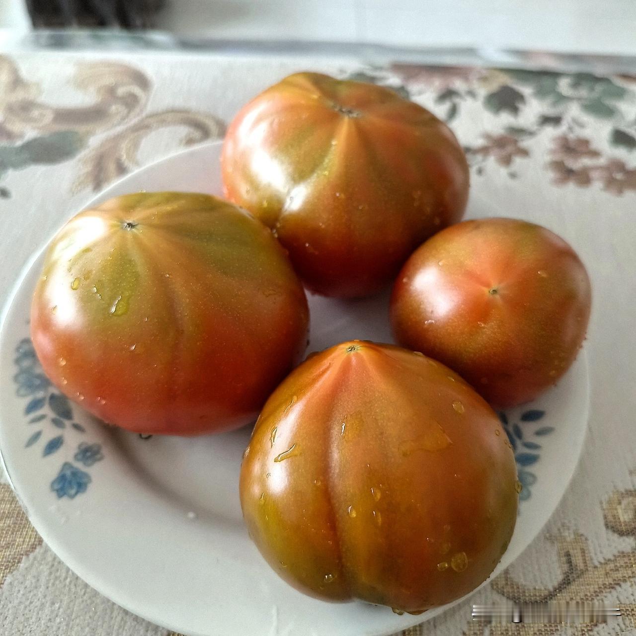 我发现，春天这个季节生吃西红柿对口腔溃疡特别管用，现在的季节市场上有很多卖这种发