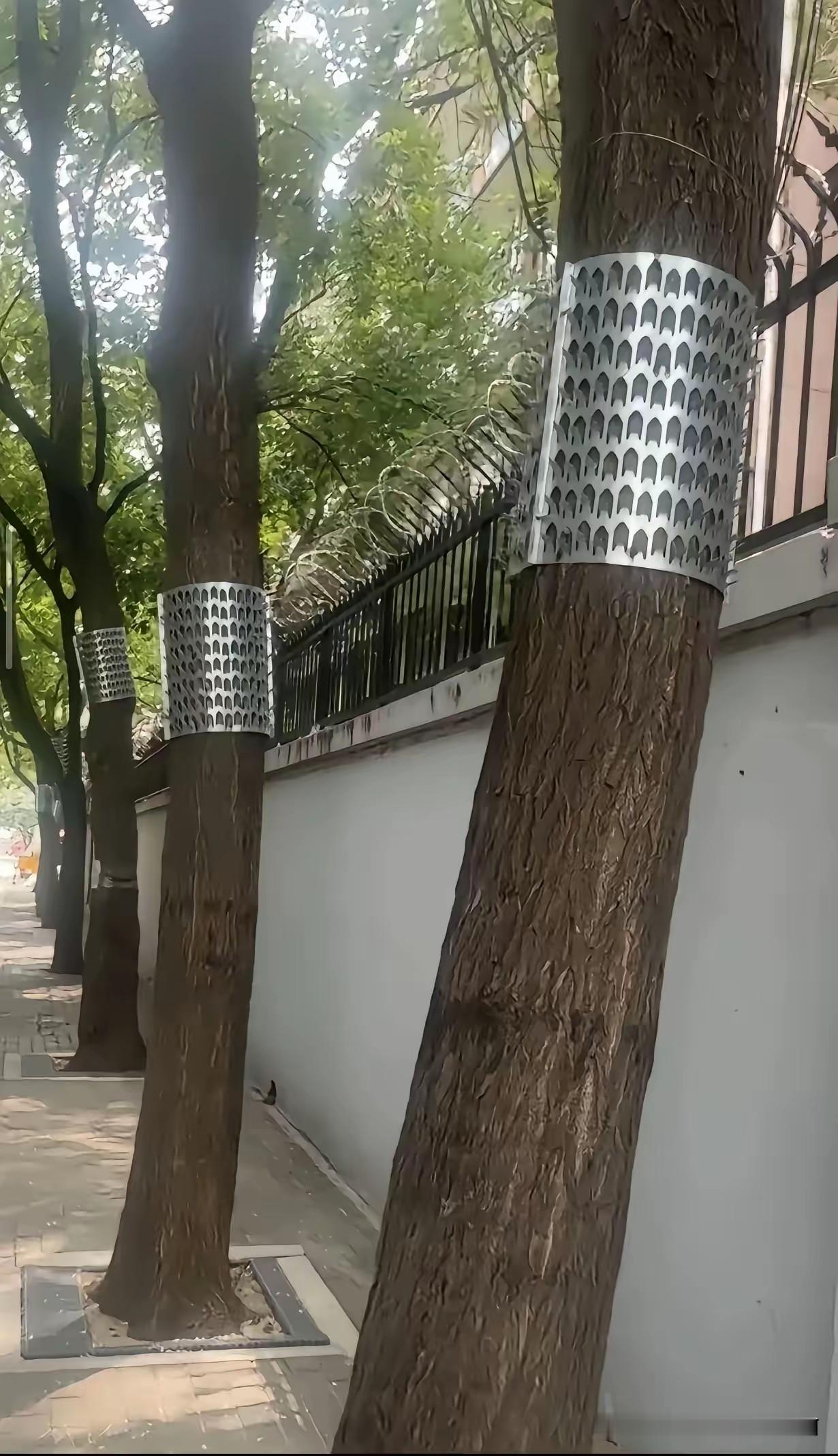 网上刷到的一张图片，高高的围墙，墙上面还有护栏，护栏上面还有一排铁蒺藜，围墙外面