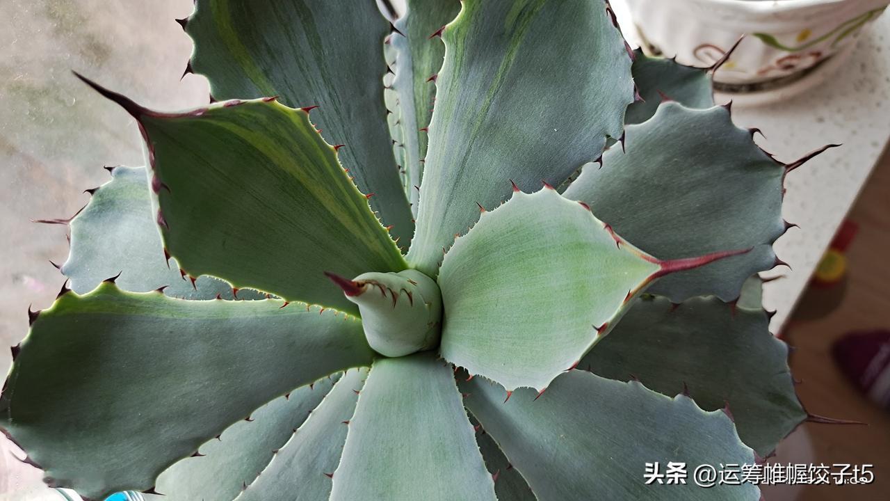 昨晚上大半夜，泪水像开闸泄洪一样我哭的稀里哗啦，上一次这样痛哭是因为老妈骨折后两