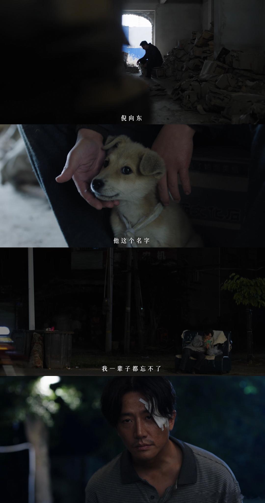 不敢杀鸡的难道就不会是凶手吗 脑容量快不够用了！预告疑点堆成山，“不敢杀鸡” 的