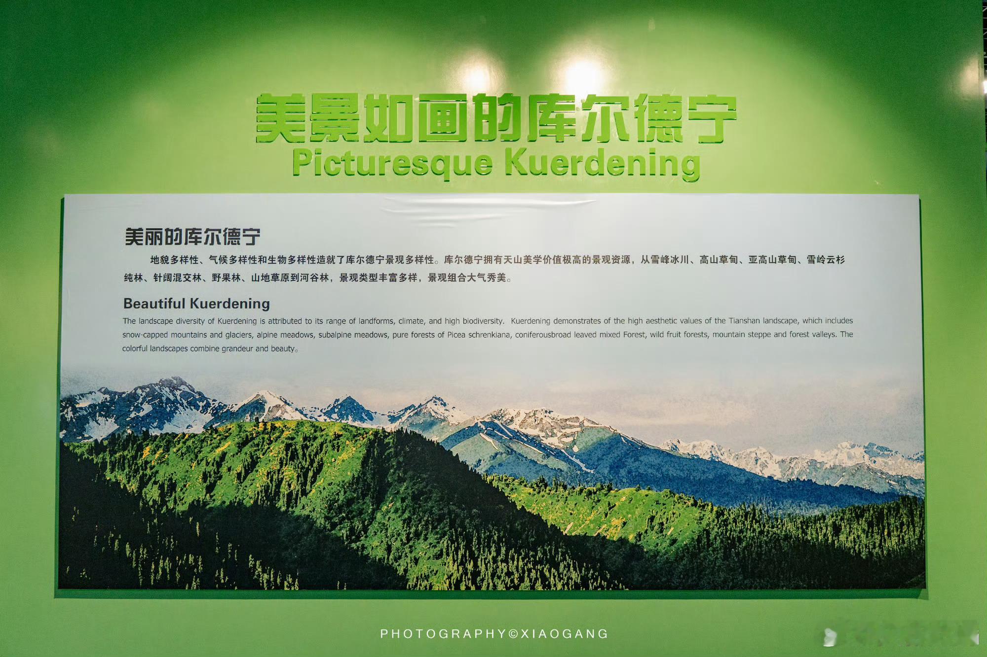 在新疆感受最动人的生态答案在新疆，胡杨林与沙漠相守，天池倒映雪山，牧民与自然共生
