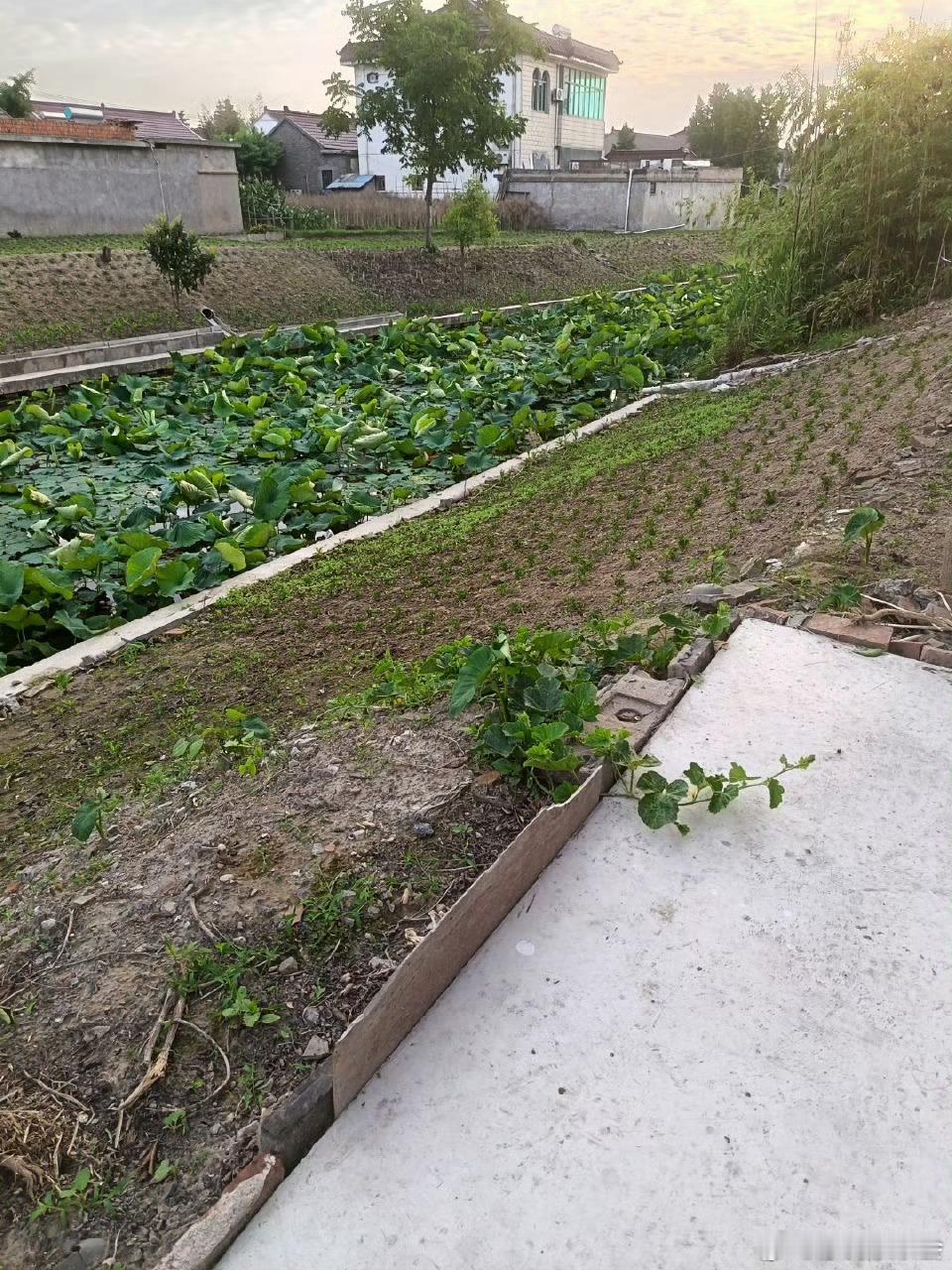 主要圆沟不圆，圆沟的圆在广义上解释，大汪狭义，如果广义相对论是在中国先出现，现在