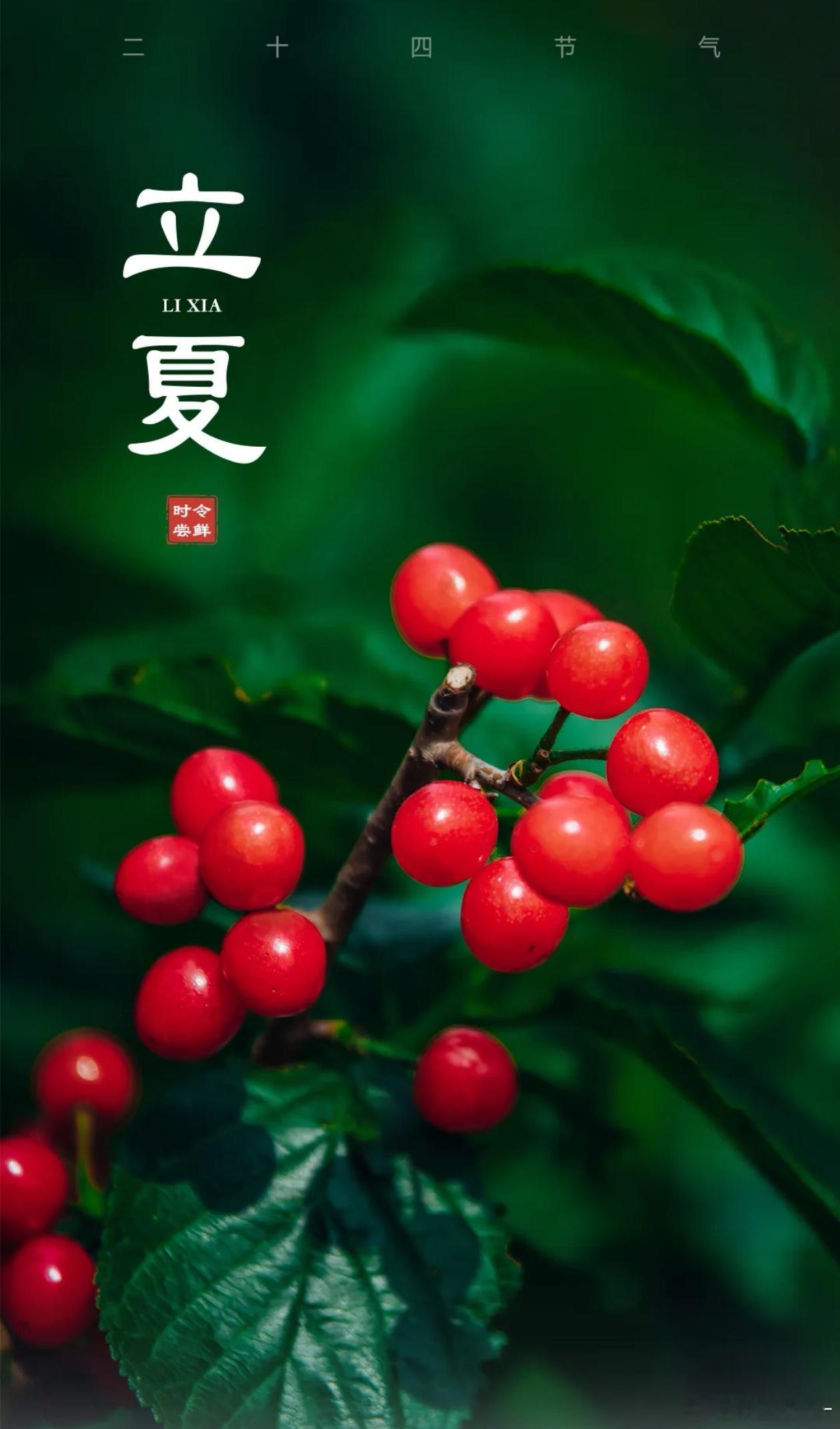 立夏——盛夏已至，万物尽舒 