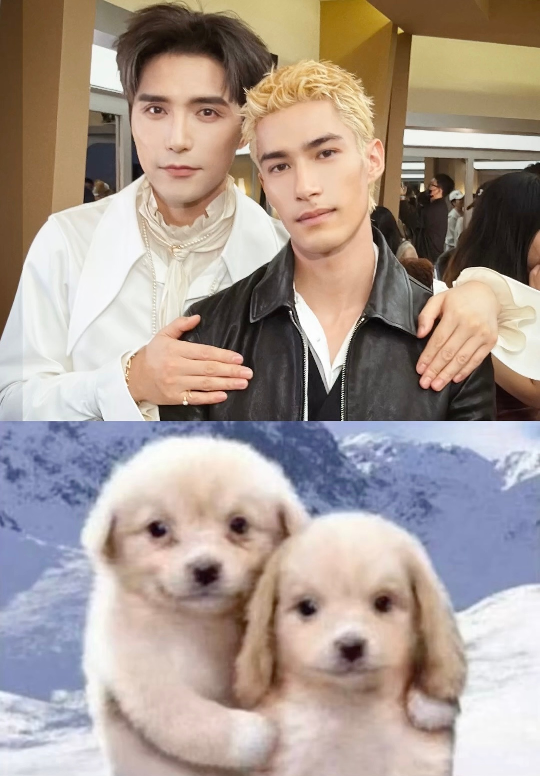 这种合照请多来点好萌好可爱～🐈🐕 