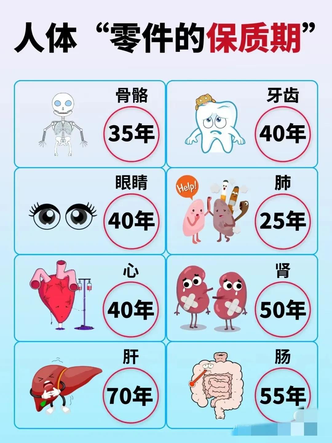 你知道吗？我们人体的各个器官都有保质期！想知道你的器官保质期还有多久吗？
具体见