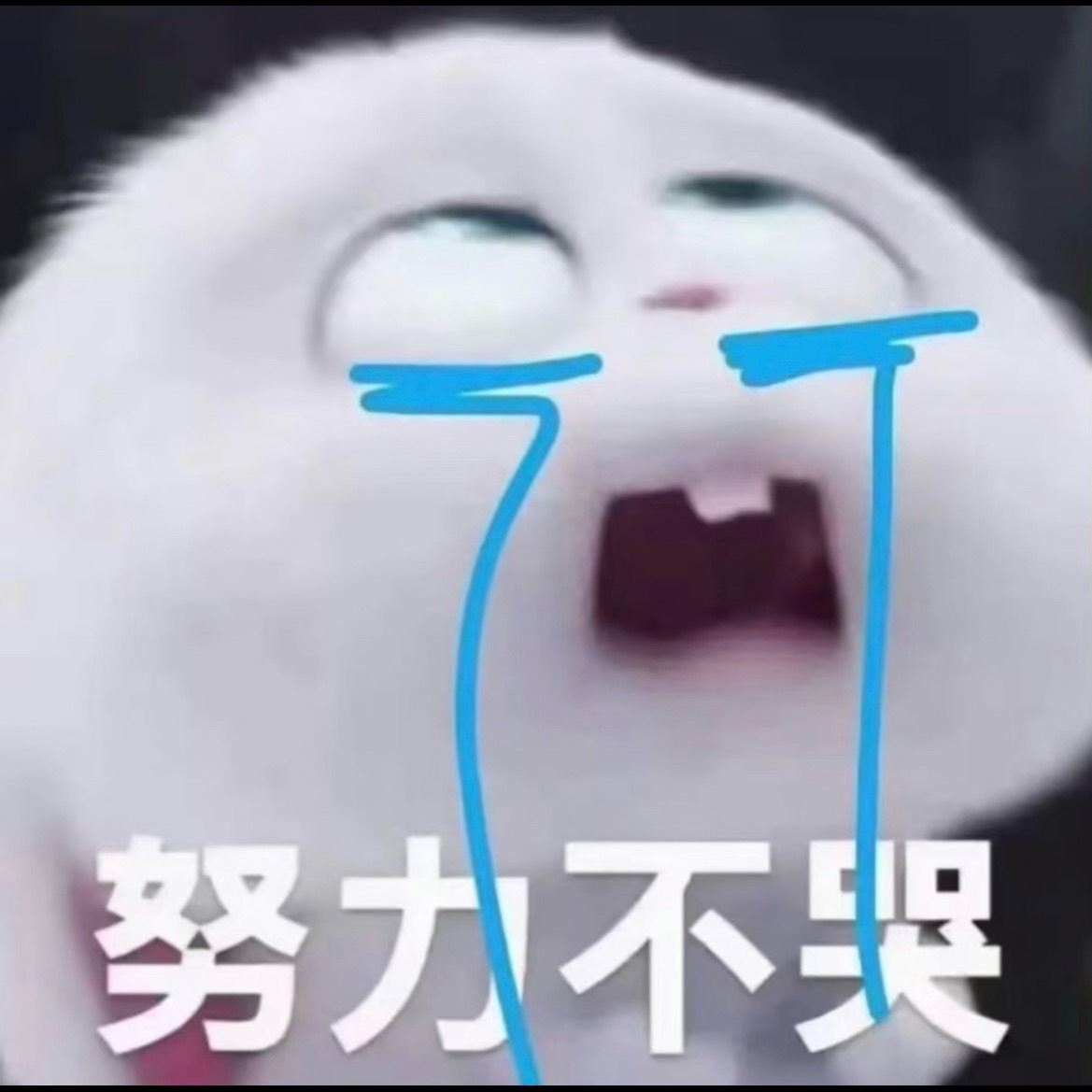 我不敢看早春晴朗第20集 ​​​
