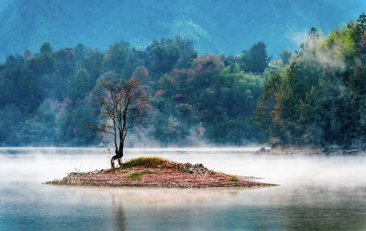 皖南秋色之旅——宏村、奇墅湖的浪漫邂逅