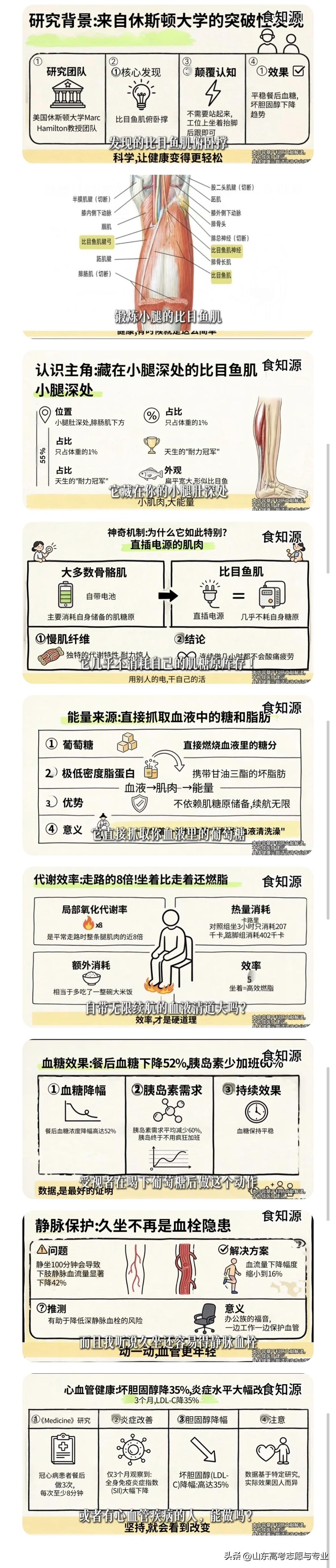 超级简单高效的锻炼身体方法：坐着掂脚跟，又叫比目鱼肌俯卧撑！

听说过有锻炼胸肌
