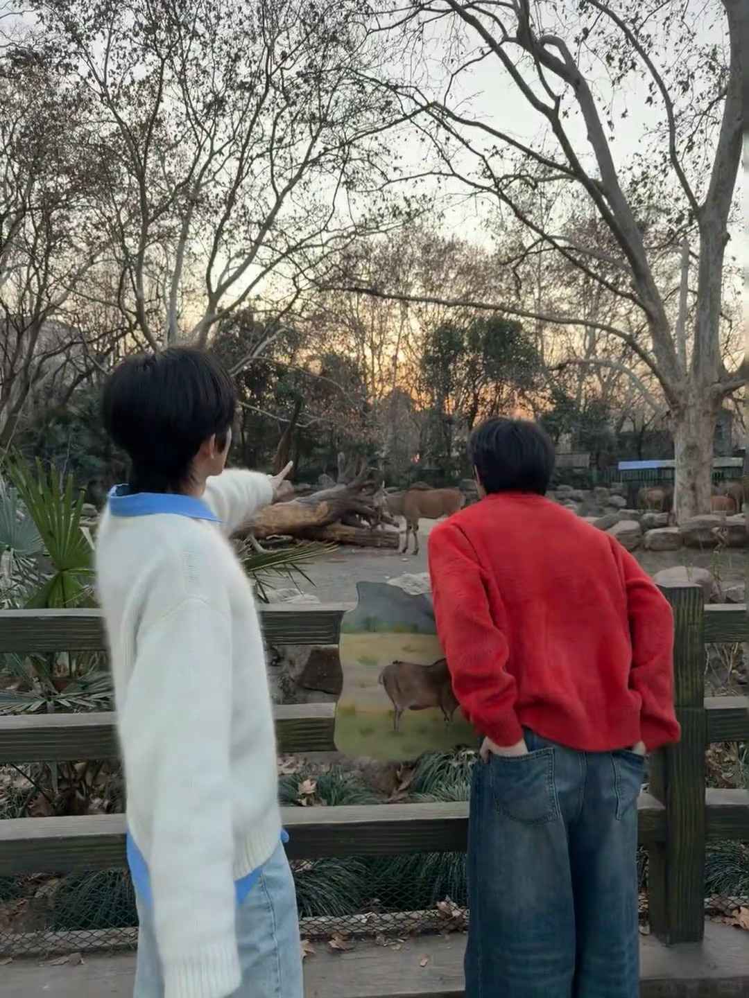 ⭐黄星邱鼎杰 🍁星有千千杰 𓃗𓃯𓃘𓃰𓃱☆₊⁺......一对小情侣在