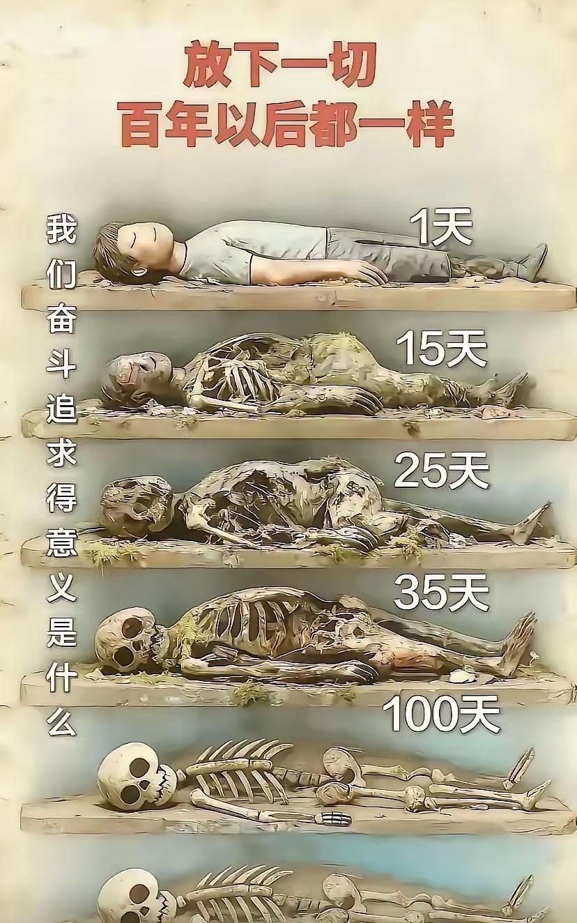 看得透吗？生下来活下去。[呲牙]理解人来到人世间就是一个过程，从开始到终点就是一