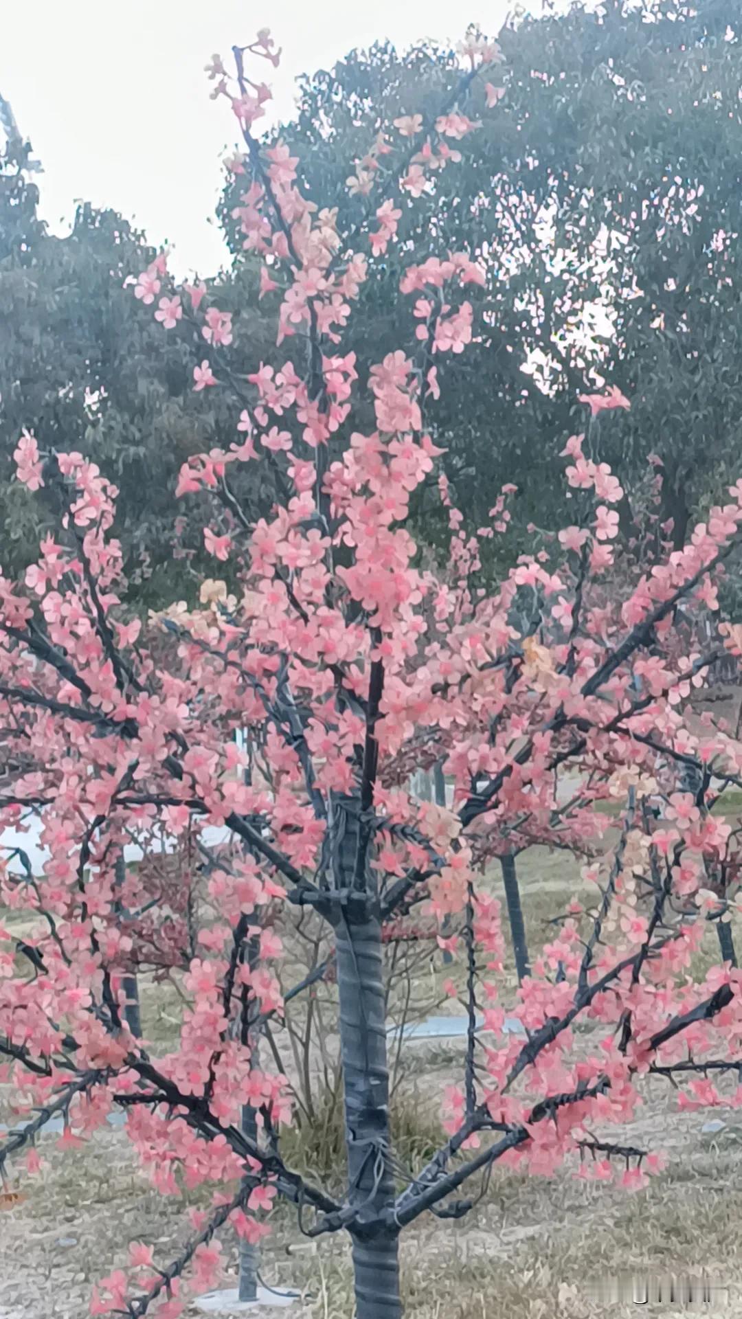 上联：酒，喝酒，喝喜酒，求下联花，赏花，赏梅花