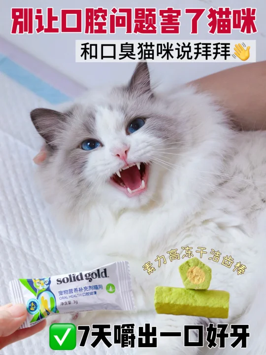 后怕！这只不刷牙的猫差点就要全口拔牙
