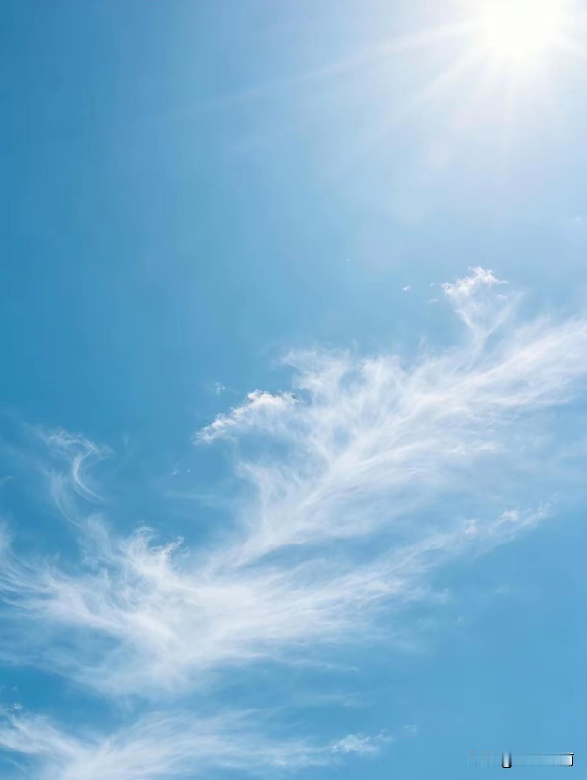 ☀️⁰²⁶/₀₈.₀₆🎀ℓιƒє✧*☀️☀️ Gᴏ̆̈ᴏ̆̈D '͜''
家人