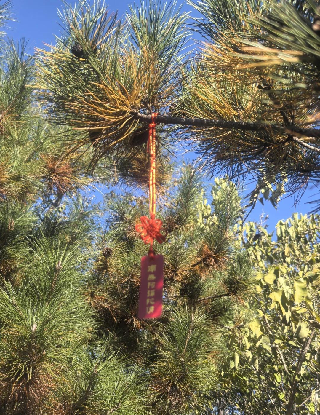 北京秋天｜西山步道才是隐藏赏秋王者！🍁
西山少、免费、景色绝！
比挤香山舒服太