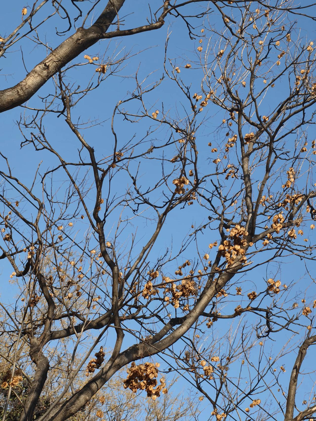 你想怎样用一句话描述这个世界五彩缤纷，包罗万新，无奇不有，凡存在是否合理不谈，但