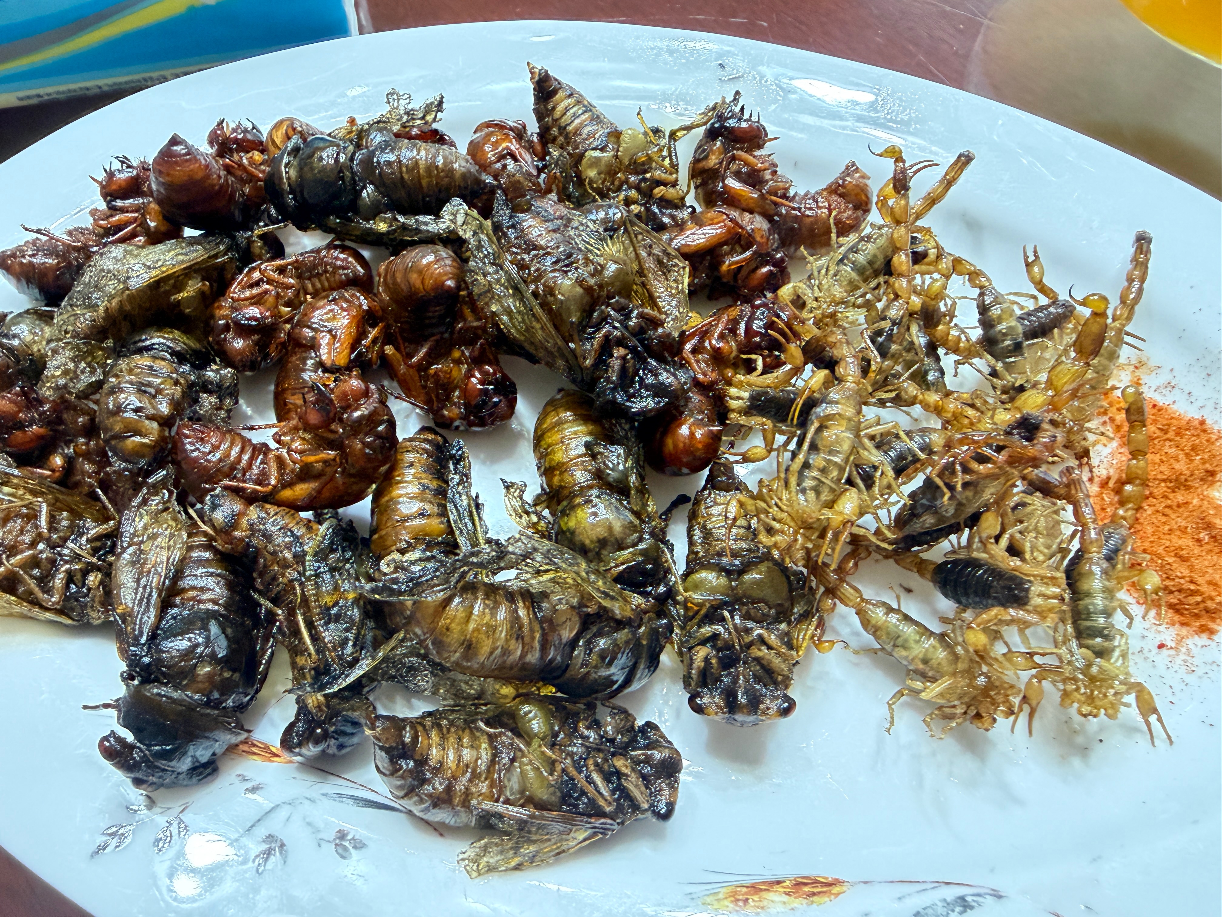 在一个路边平平无奇的小馆子，吃到了人生中遭遇的巨型海鲜。青岛你撑死我了。把一年的