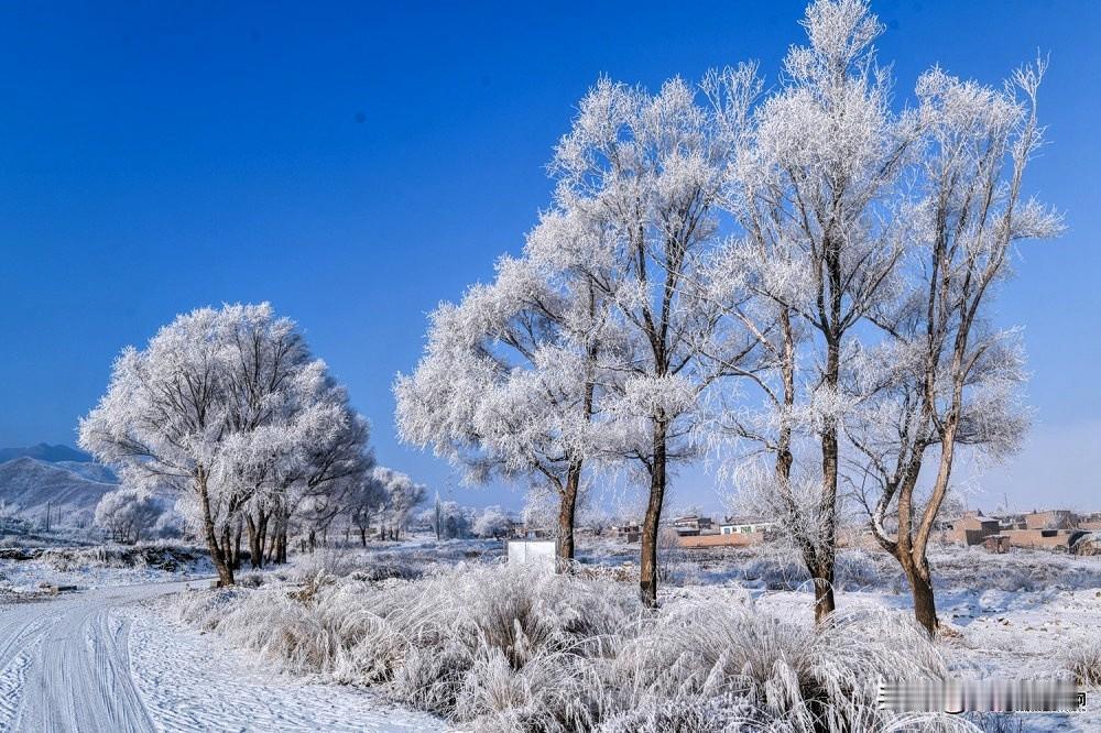 春生：早睡早起，广步于庭，饮食增辛减酸；
夏长：晚睡早起，无厌于日，饮食增苦减辛