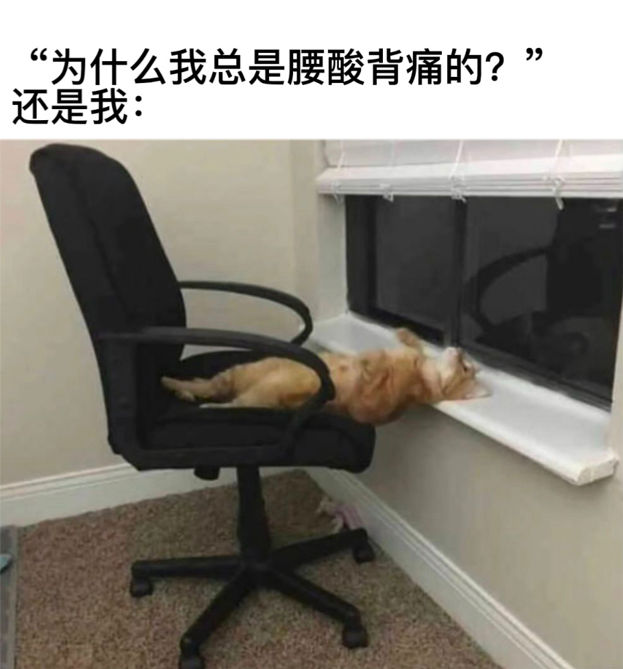 什么原理#今日memes# //#今日快乐今日发# ​​​