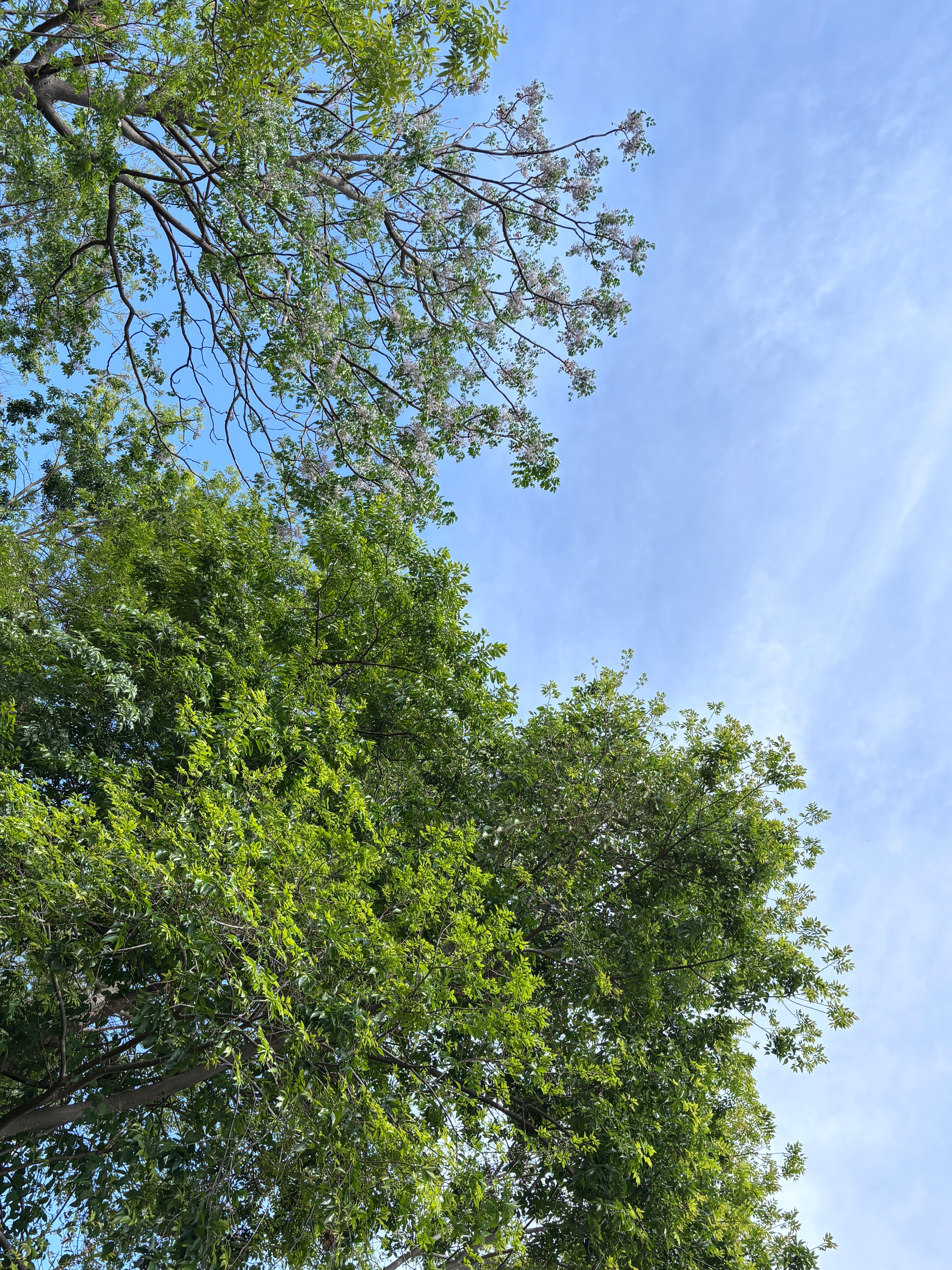 读书是见世面最快的方式我的私人宝藏书单书评 万物静默如谜凌晨三点，我失眠了。翻来