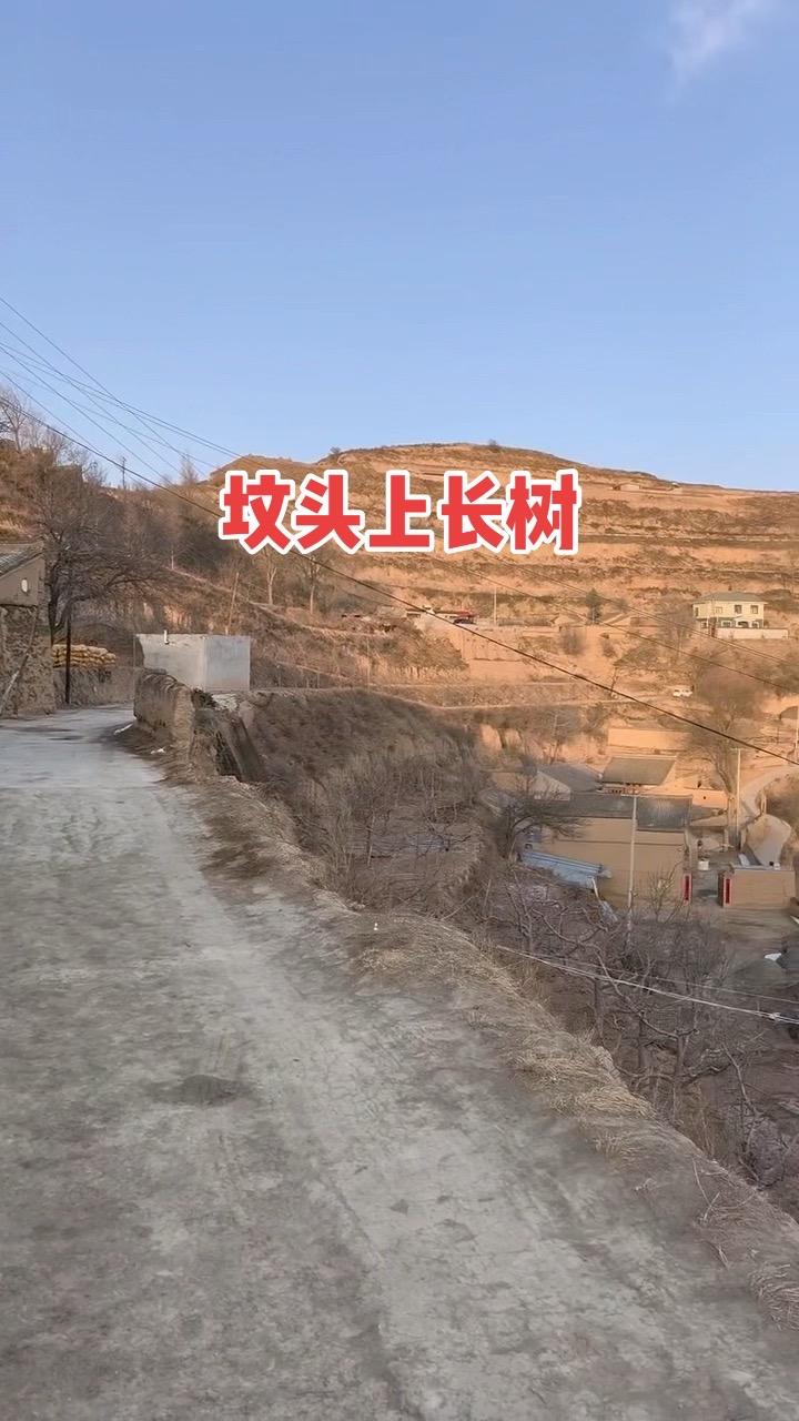 记录家乡美景 历史古迹 寻找历史的痕迹 古建筑之美 美丽乡村建设
