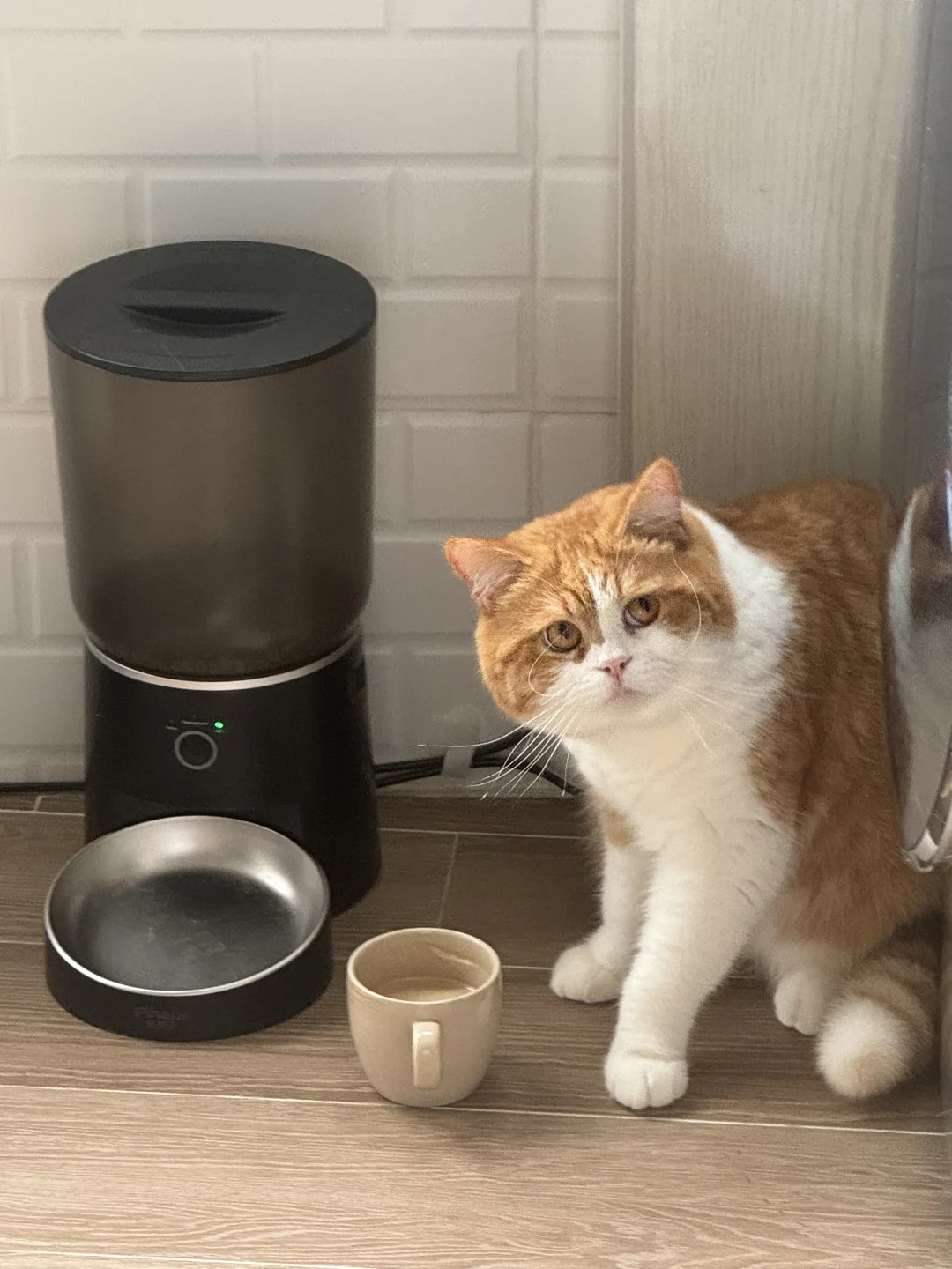 英国佬居然爱喝咖啡☕️？