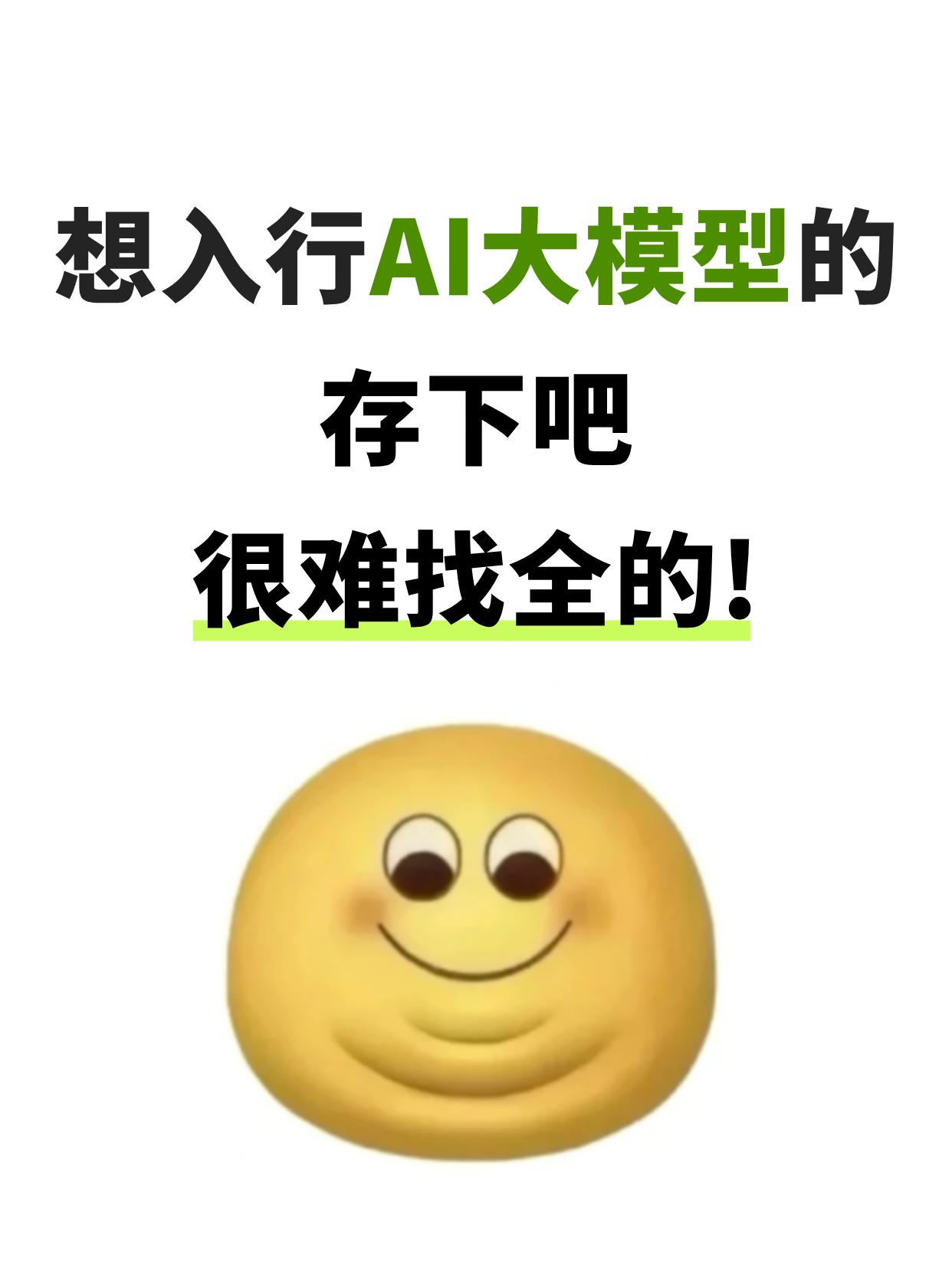 想入行AI大模型的存下吧！很难找全了