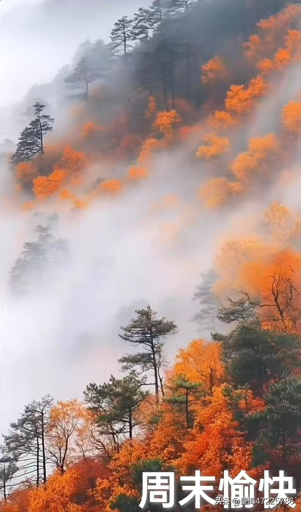 如今，中国🇨🇳每个城市都有不一样的美景！//@乐观的青山tT:好想去度假💪