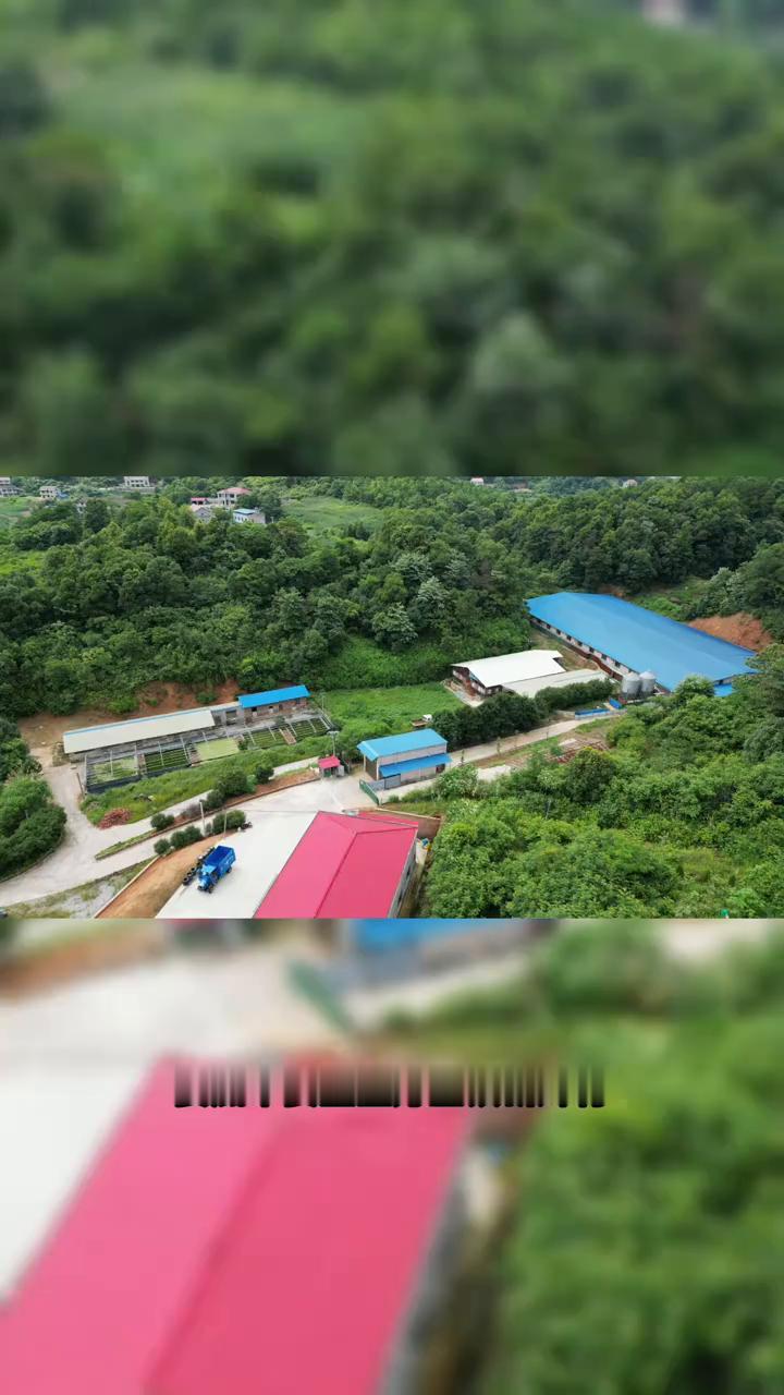 娄底市娄星区万宝镇新辉村合规治污设施闲置不用，私挖无防渗土坑存粪污。
娄底市娄星