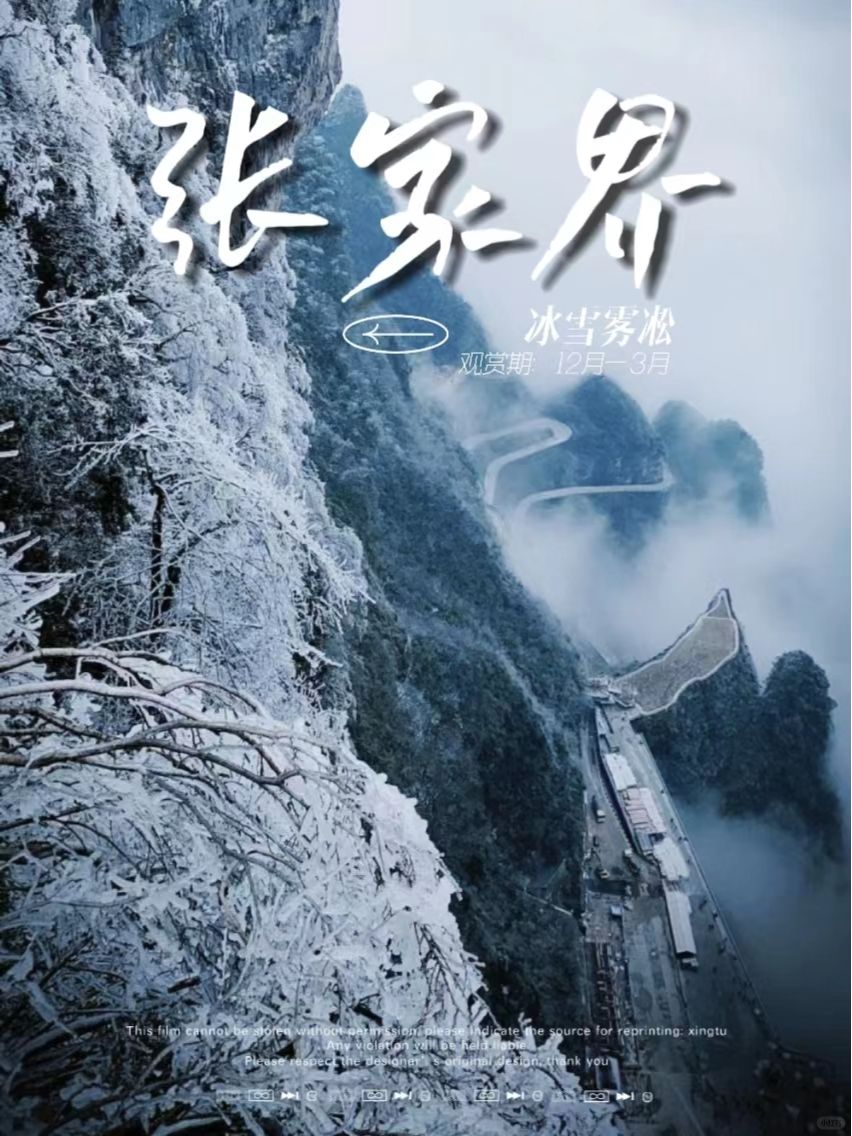 接下来的张家界，堪称冬季雾凇雪景天花板！