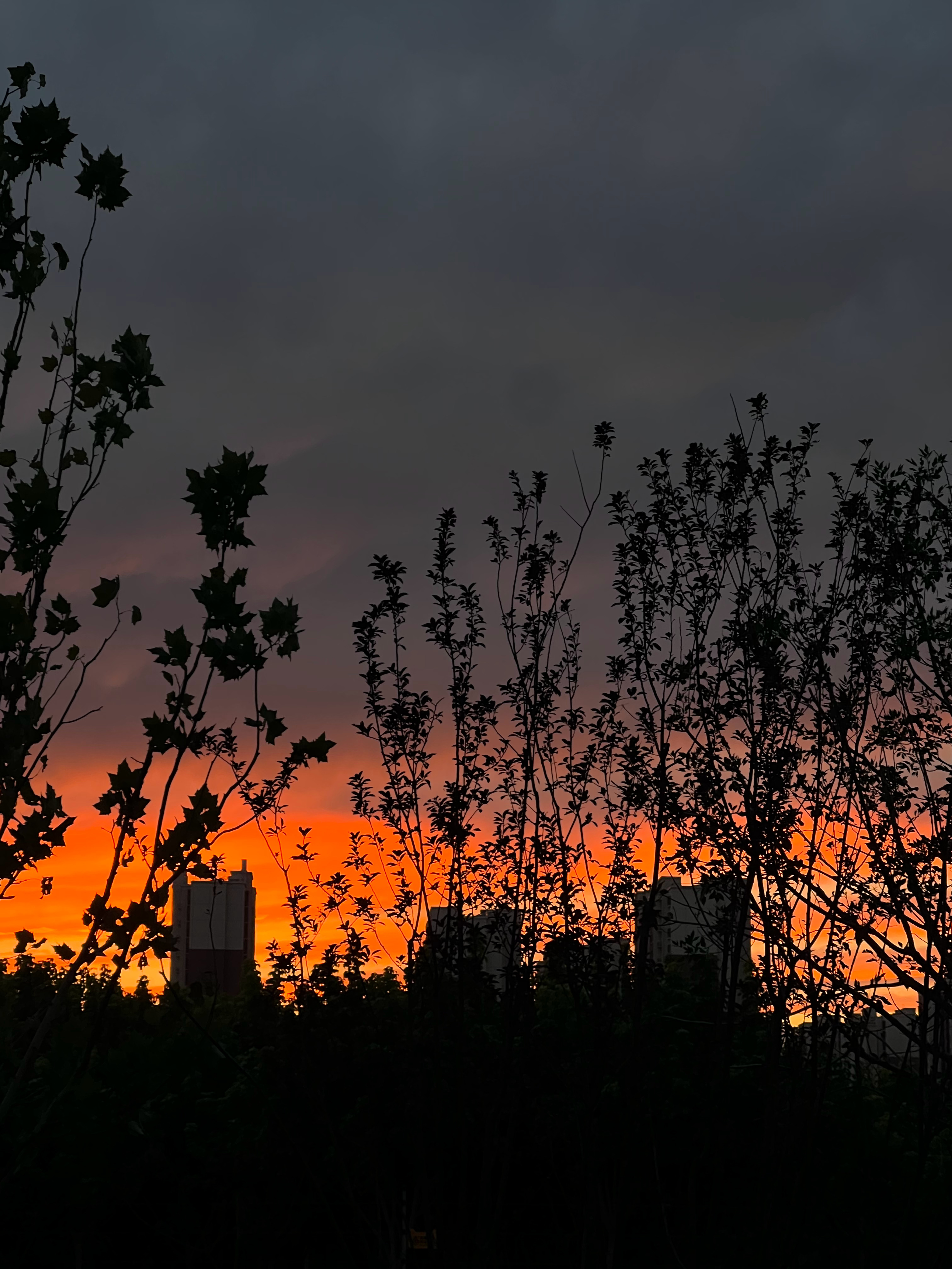 不生气 不值得 半小时晚霞效应 果然👍🏻 #北京晚霞# ​​​