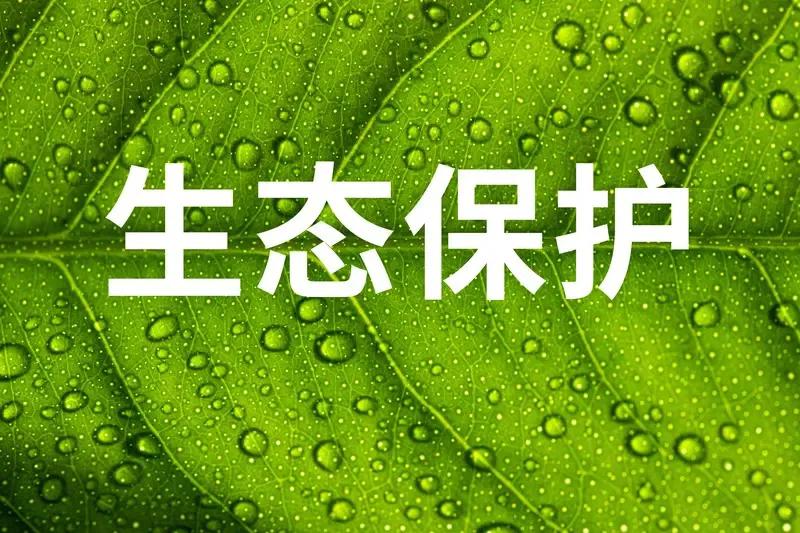 亲:晚安、未来食品的构造；未来健康的，新标识；坚持绿色生态新品质创新供应链；有序