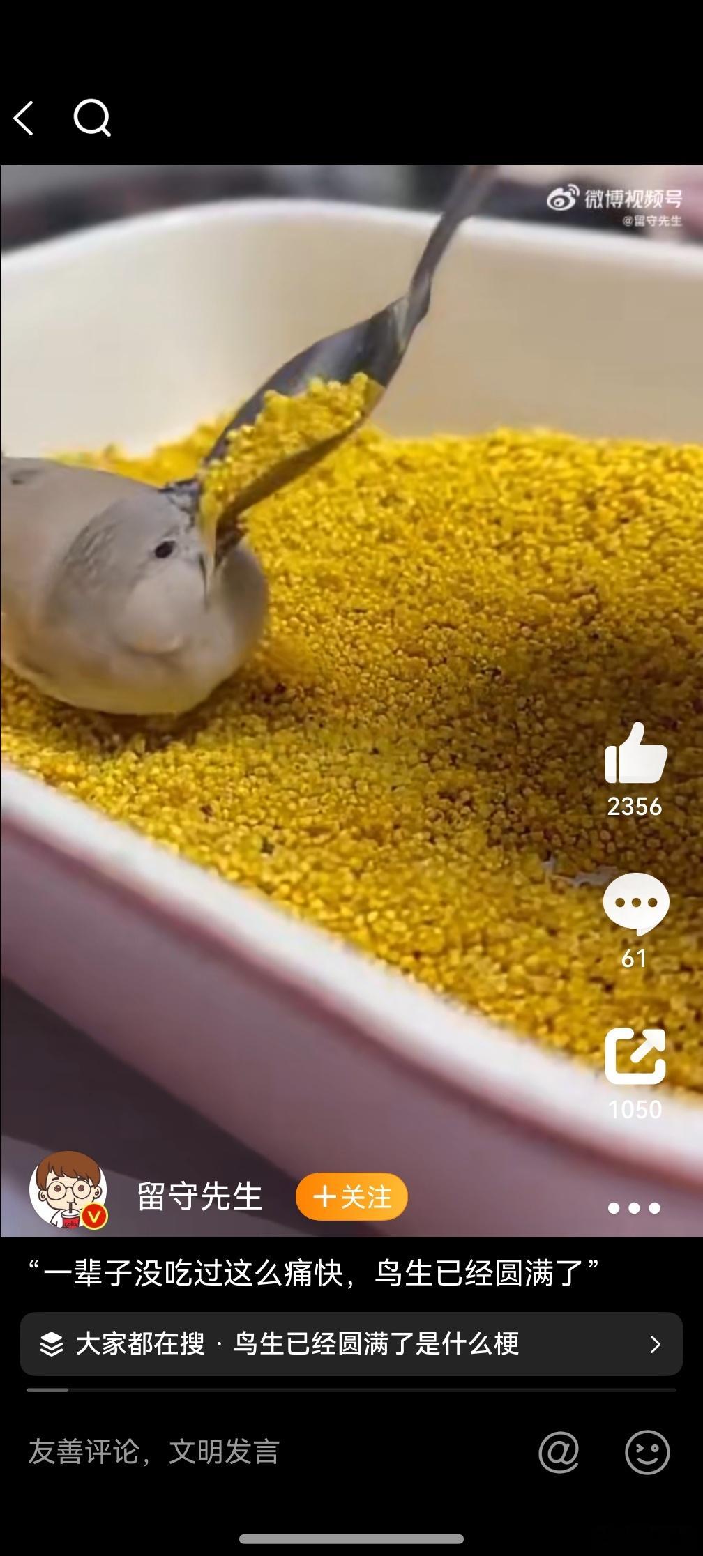 一辈子没吃过这么痛快 ，好家伙，这就相当于人类在一个堆满了食物的房间里吃饭，绝对