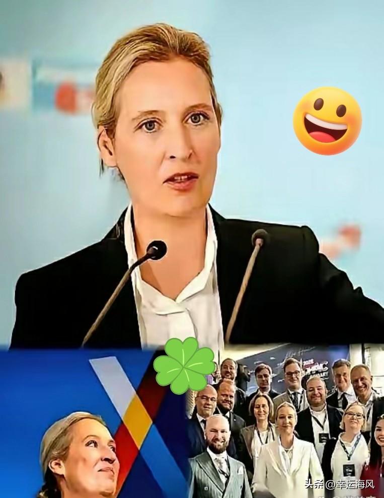 在德国最有经济实力的几个州，德国选择党（AfD）获得了历史性的选票，在某些地区票