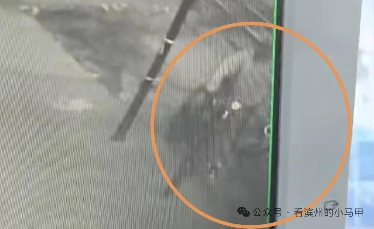 滨州57岁男子张某某盗窃自行车被抓，3辆被盗车已返还
 
近日，山东滨州滨城区学