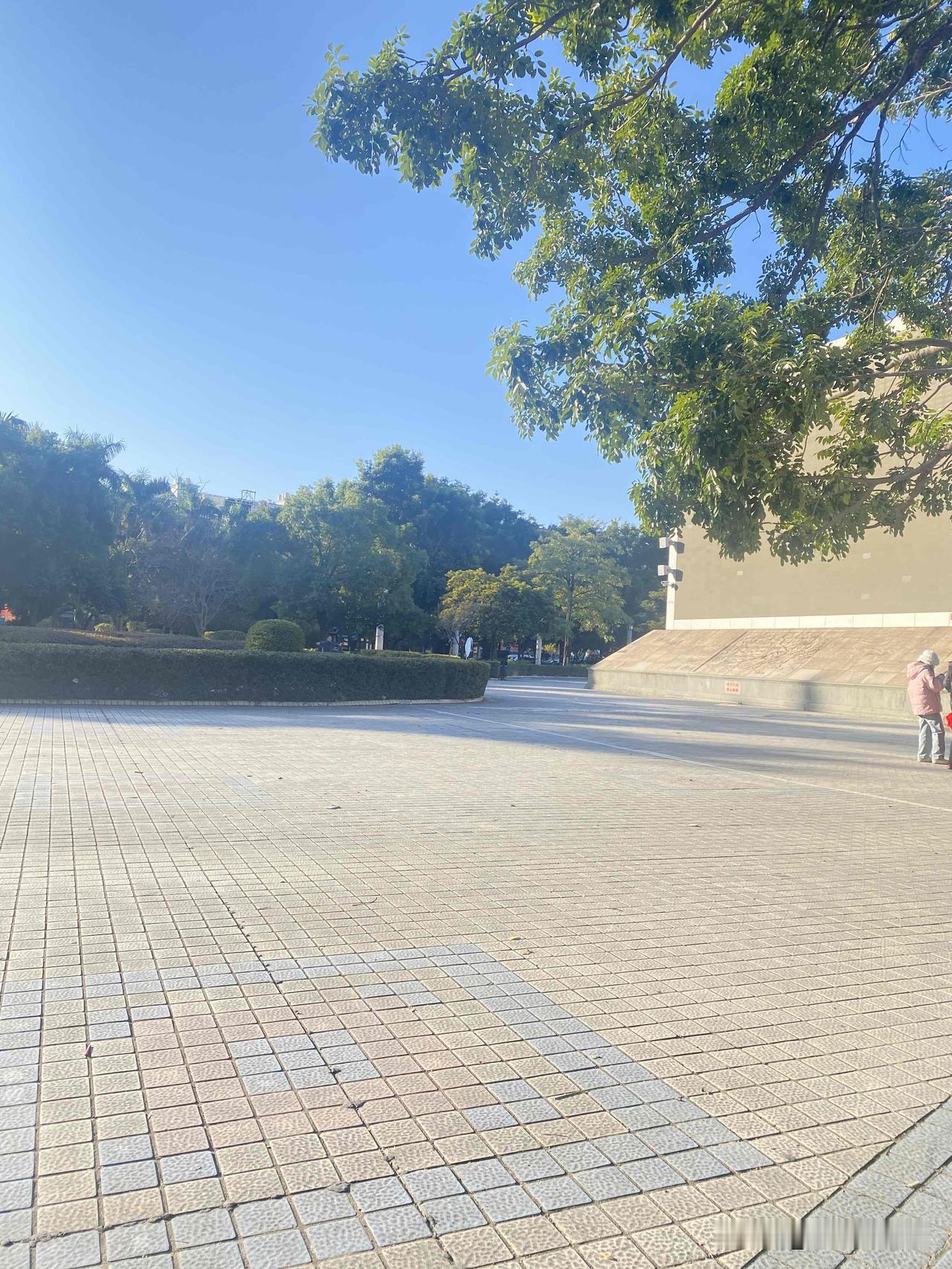 阳光洒下来，在砖地上投出树的影子，一块亮一块暗的，特好看。平时这广场人多的时候闹