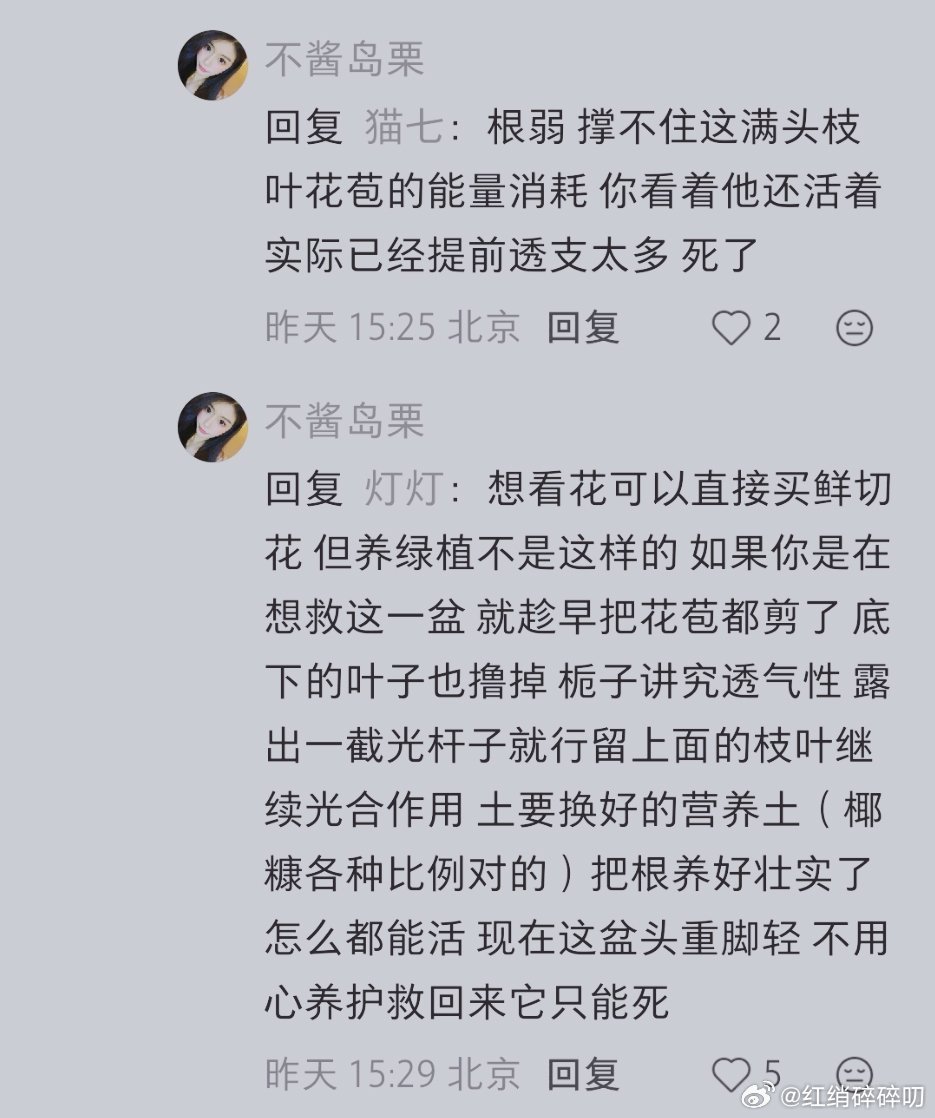 小红📚上果然能学到东西！ 