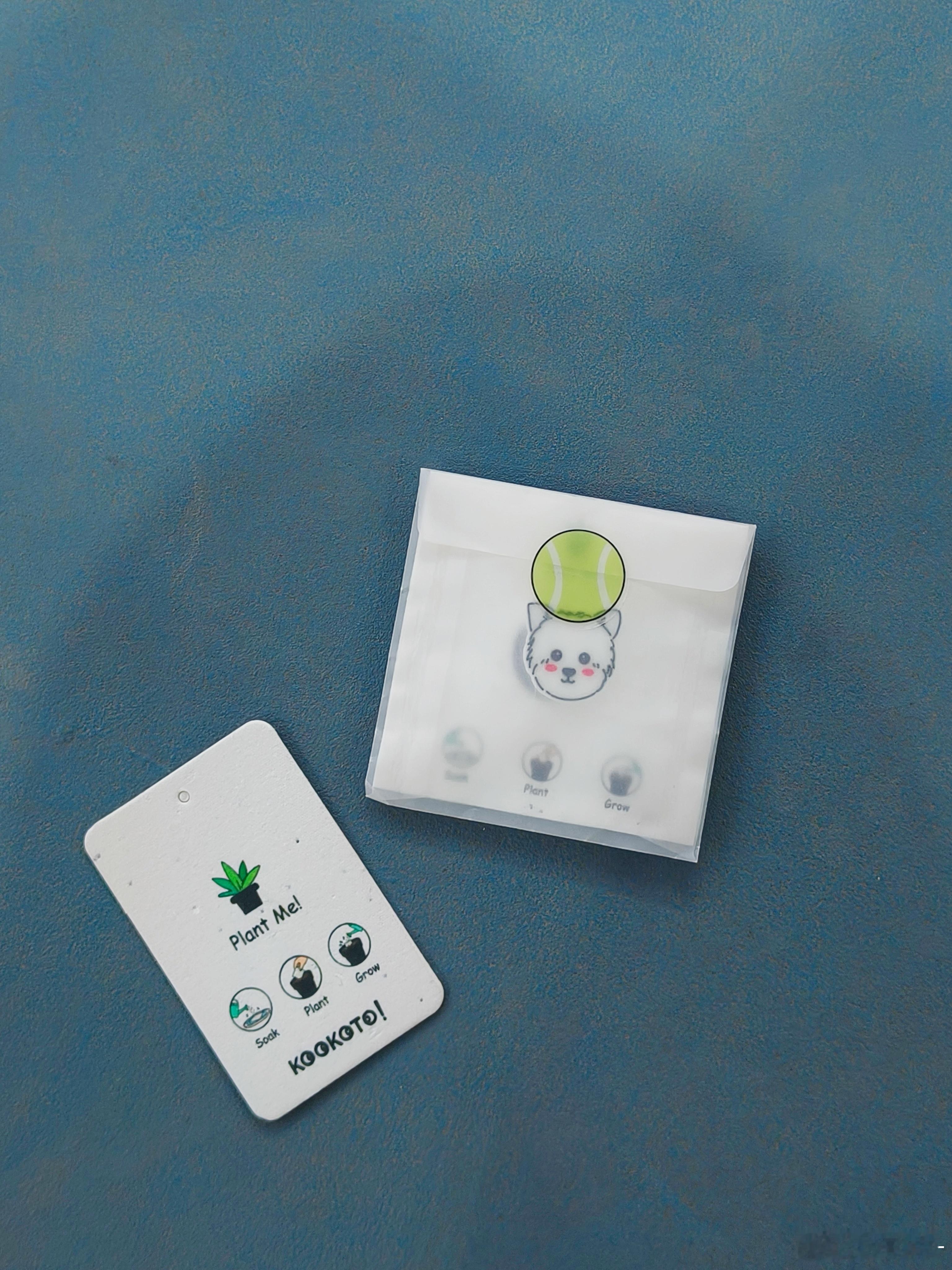 修狗🐶 西高地网球拍避震器说这个卡片是可以种出来植物的...我试试看！“种子卡