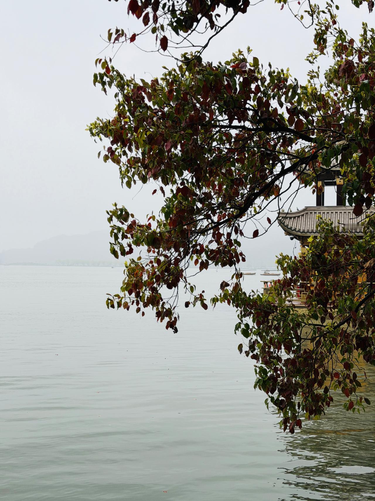 来杭州很多次了，几乎每次都是晚上到，第二天上午的活动，下午回；穿梭在酒店、会议室