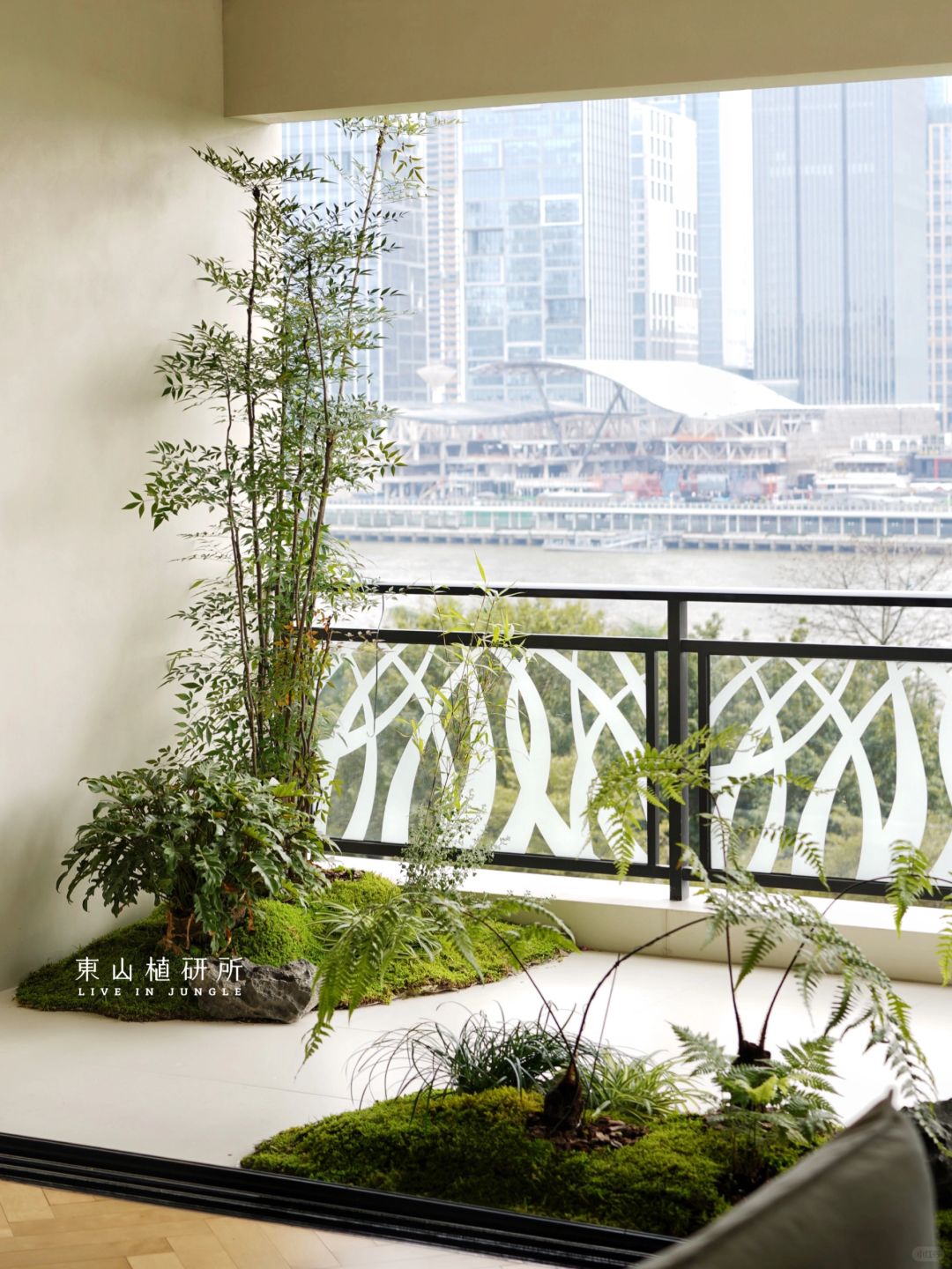 私宅定制｜舒适宜人的阳台绿植角组景🍃