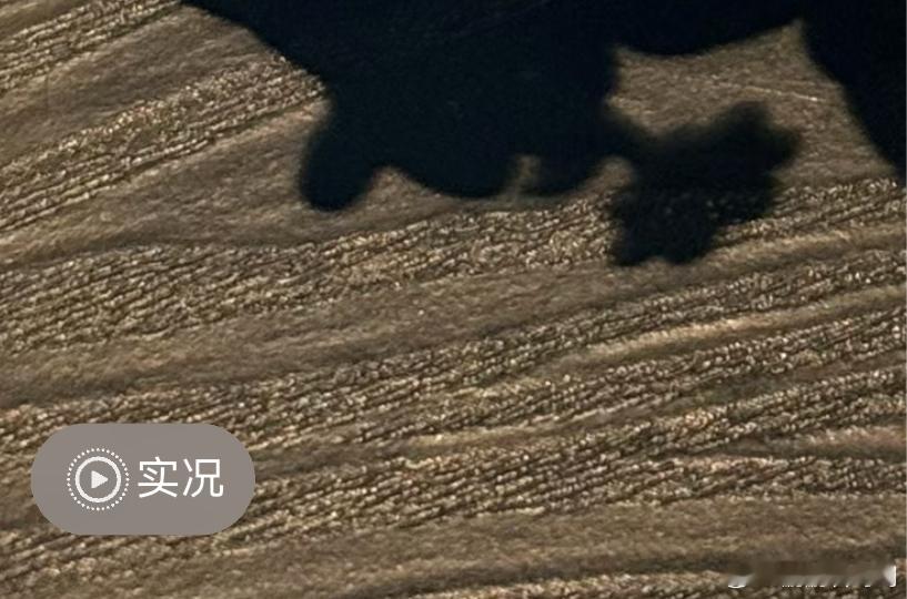 微信鸿蒙版已支持浏览朋友圈的 Live 动图，左下角会显示“实况”按钮支持播放。