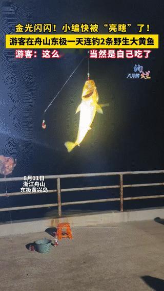 “运气太好了吧！”浙江舟山，一钓鱼姥去舟山东极旅游，心血来潮想钓鱼了，找到一野生