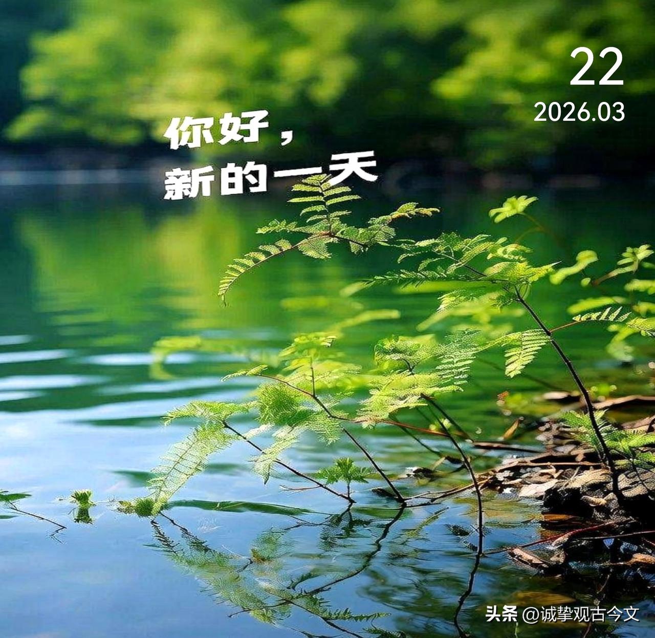 成年人的世界不存在永恒的靠山，你最坚强的靠山，就是你的努力和独立。